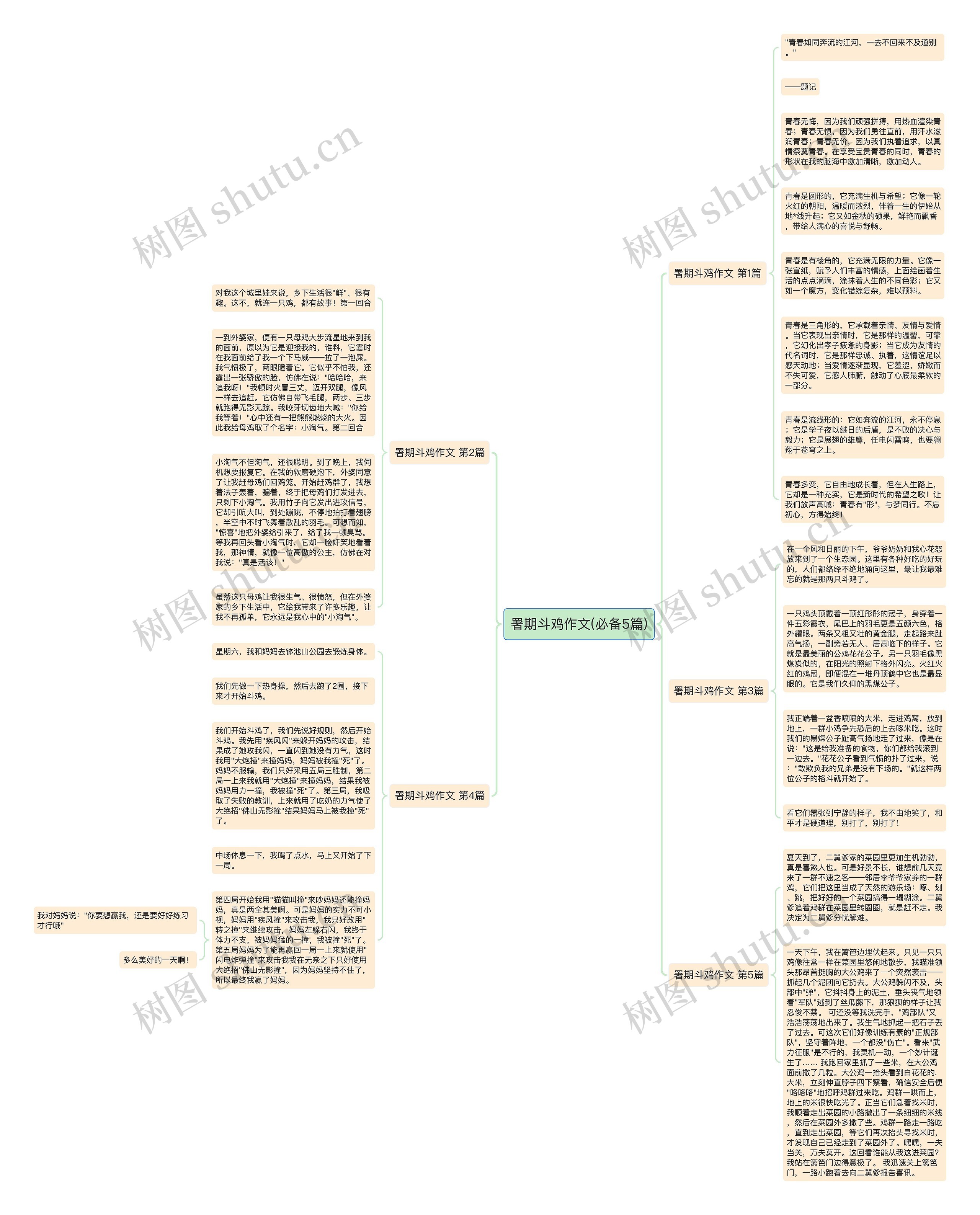 署期斗鸡作文(必备5篇)思维导图