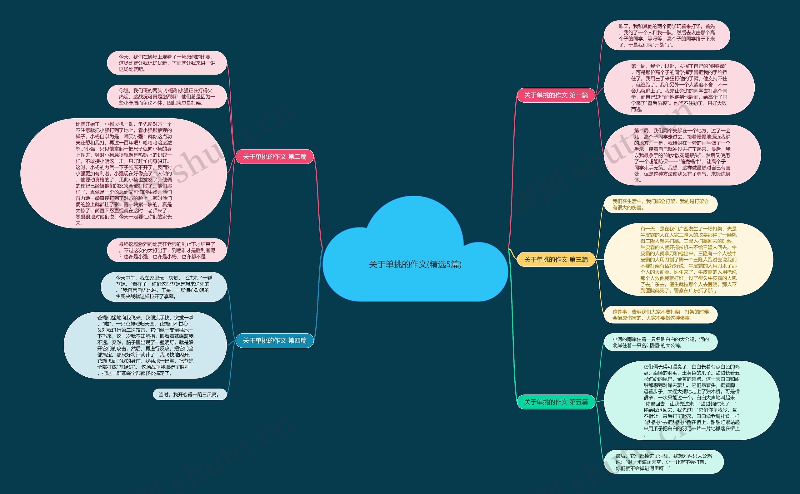 关于单挑的作文(精选5篇)思维导图