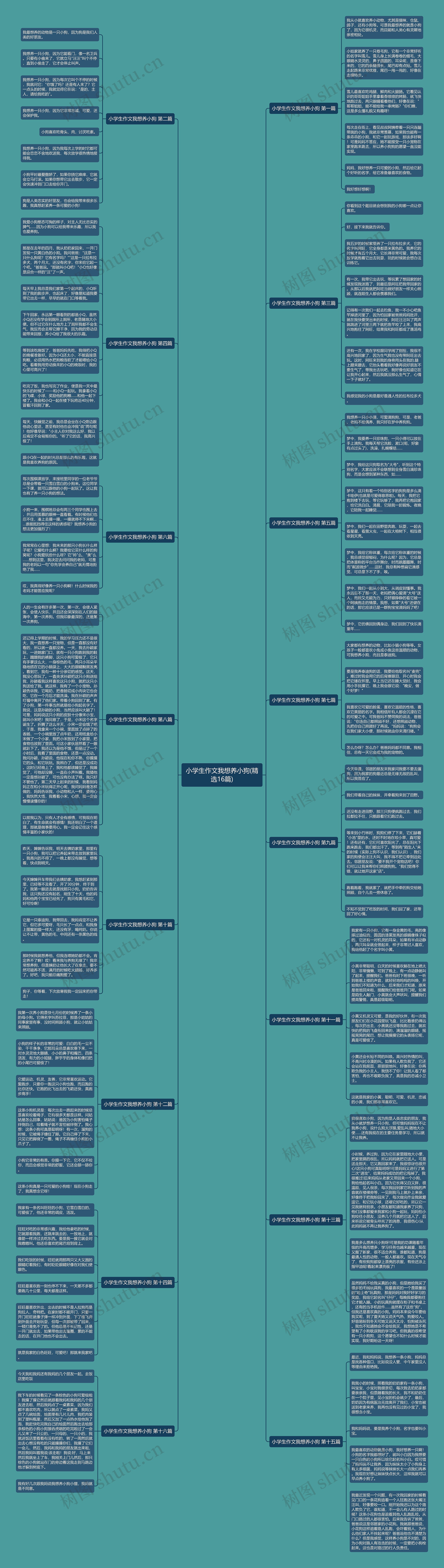 小学生作文我想养小狗(精选16篇)思维导图