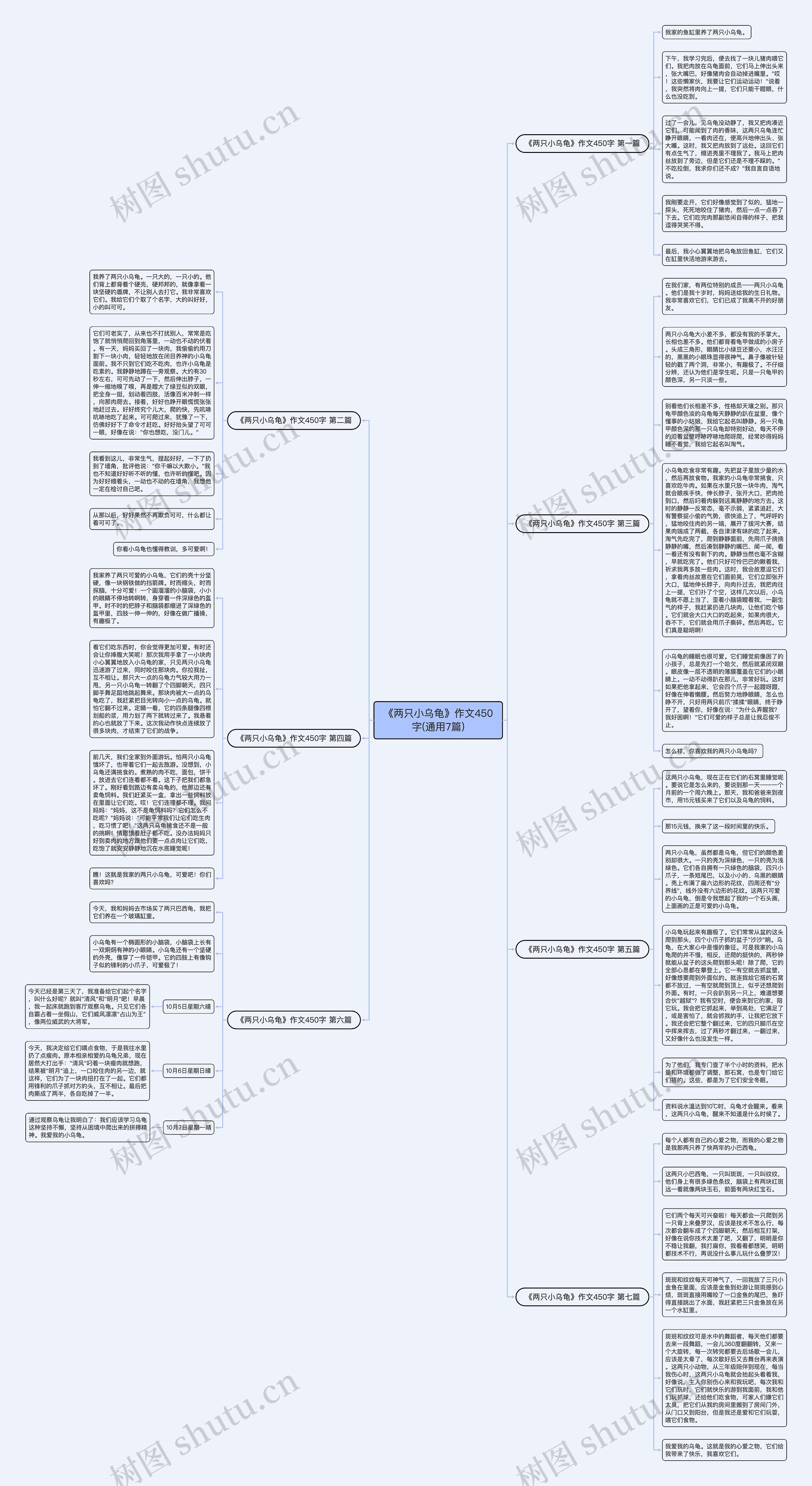 《两只小乌龟》作文450字(通用7篇)思维导图