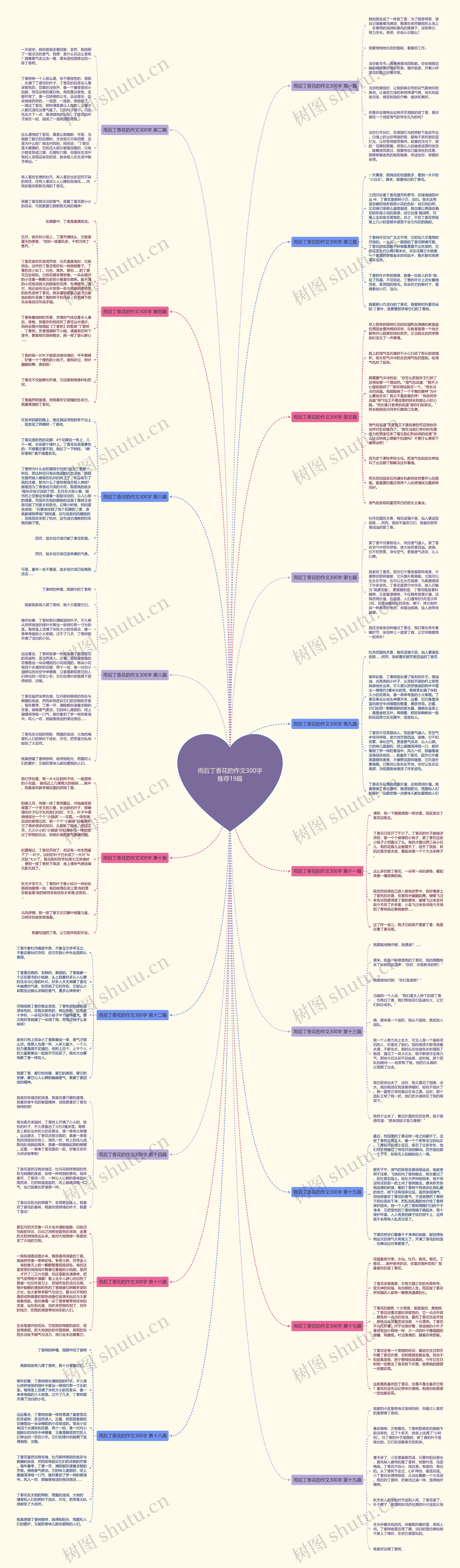 雨后丁香花的作文300字推荐19篇 雨后丁香花的作文300字推荐19篇