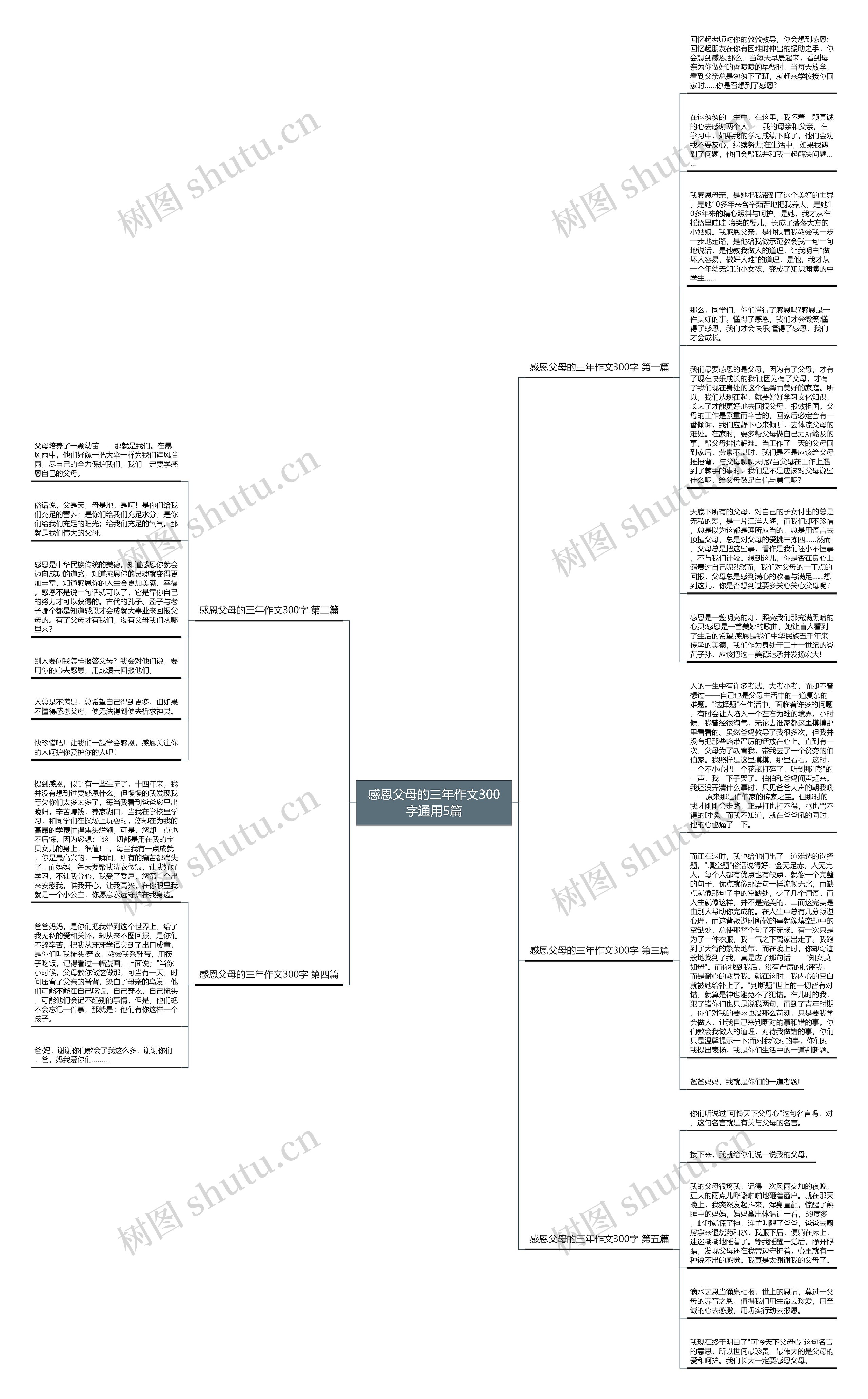 感恩父母的三年作文300字通用5篇思维导图
