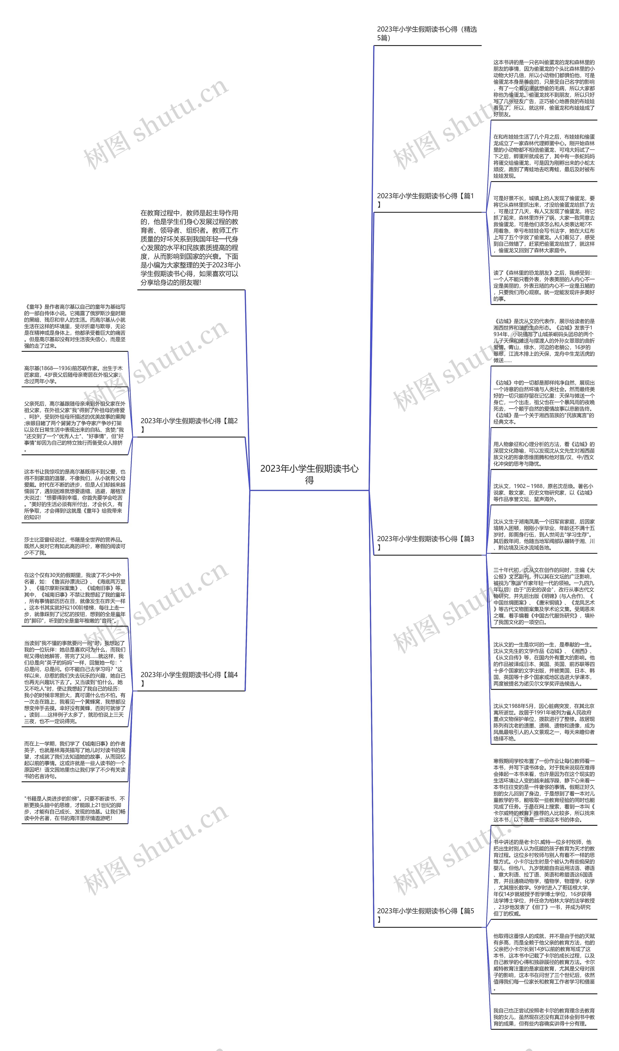 2023年小学生假期读书心得思维导图