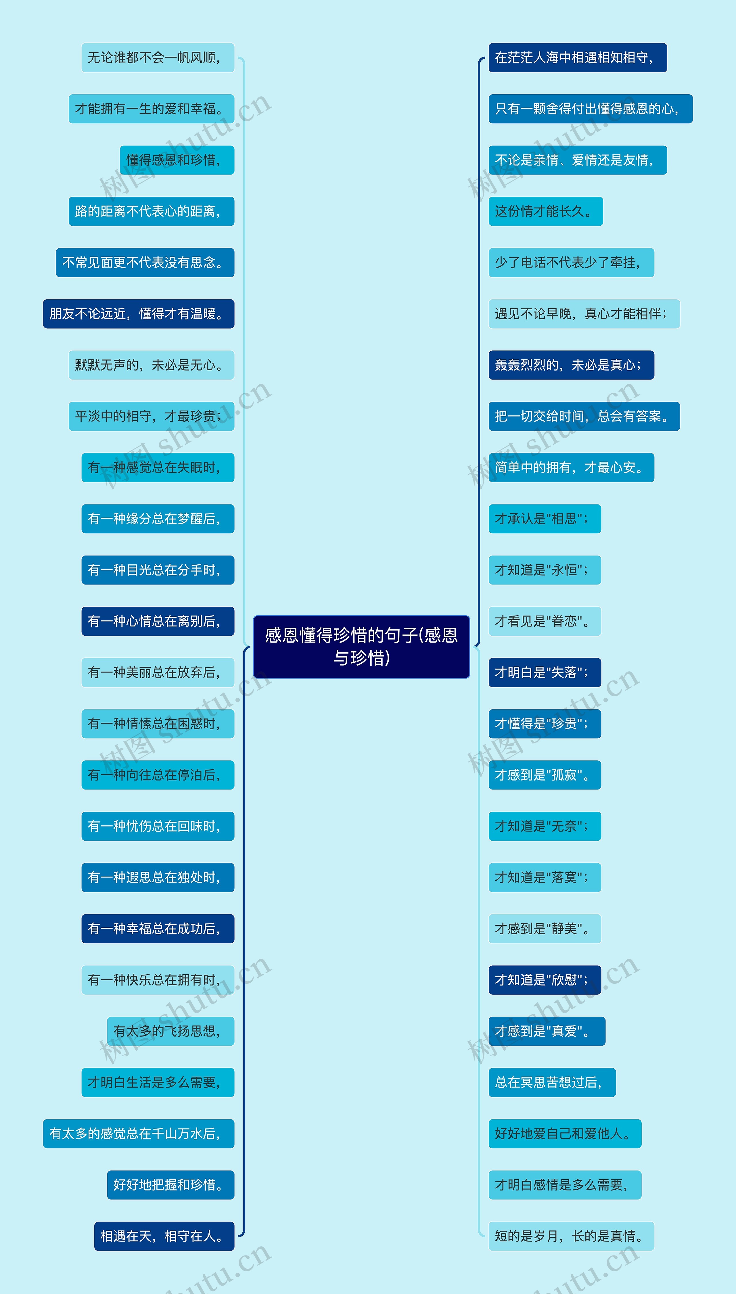 感恩懂得珍惜的句子(感恩与珍惜)思维导图