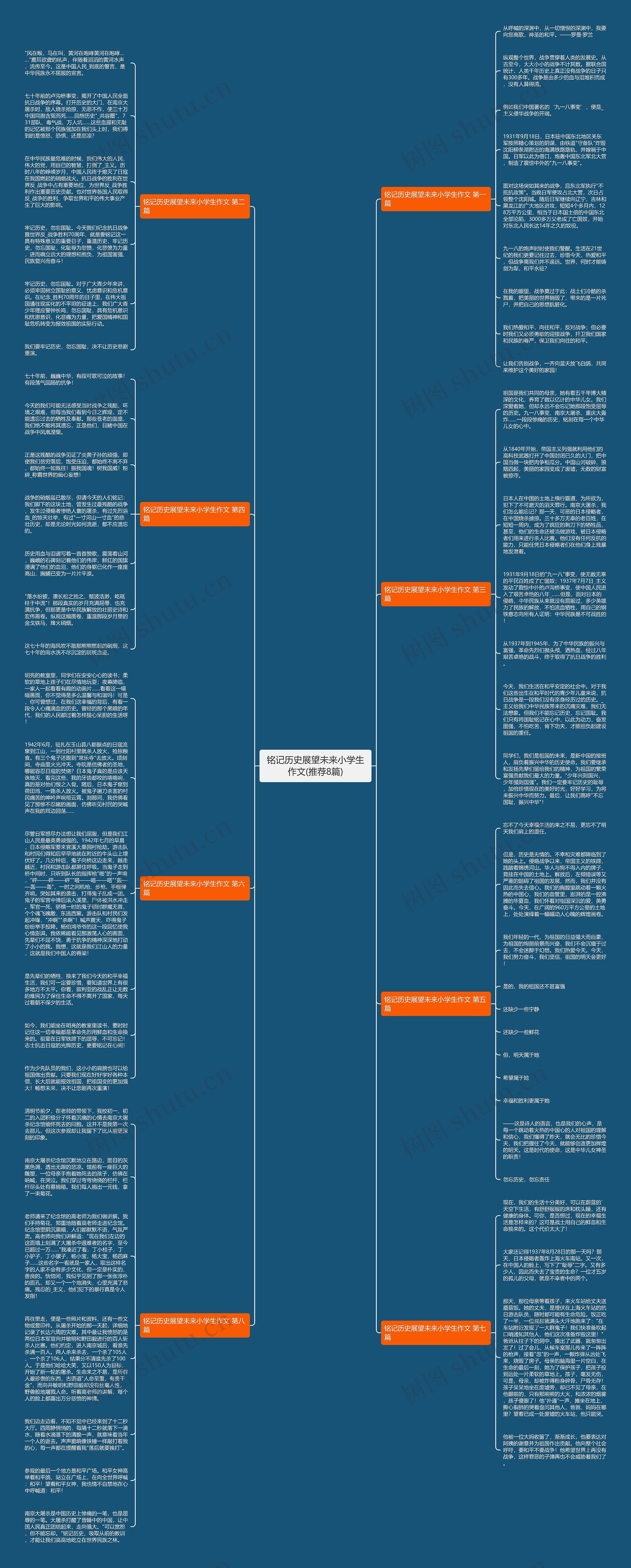 铭记历史展望未来小学生作文(推荐8篇)思维导图