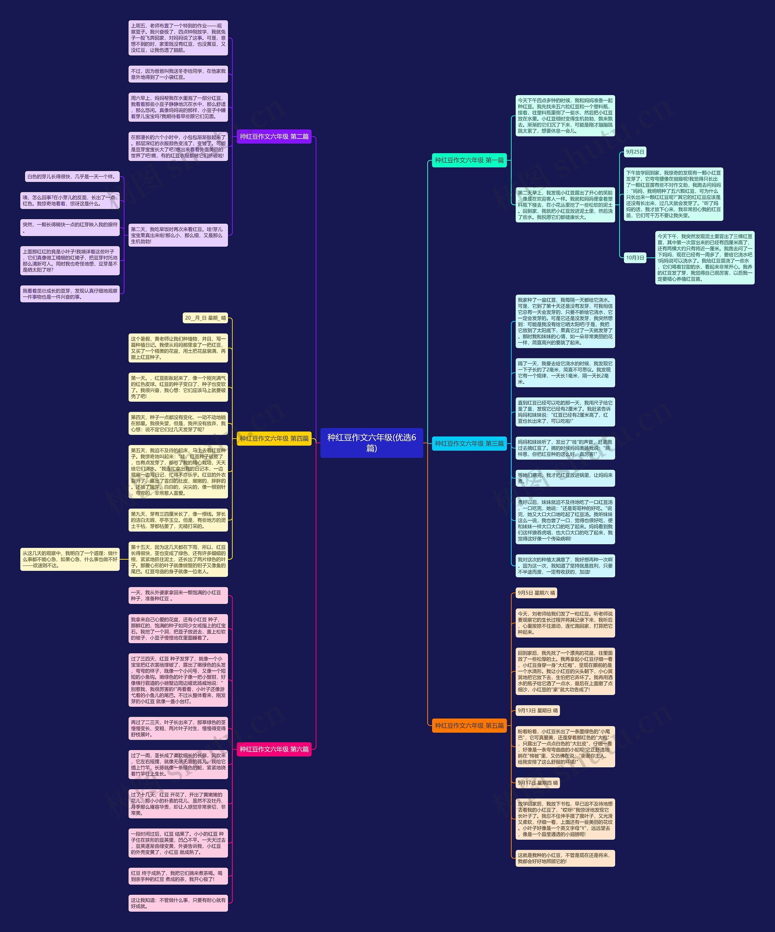 种红豆作文六年级(优选6篇)思维导图