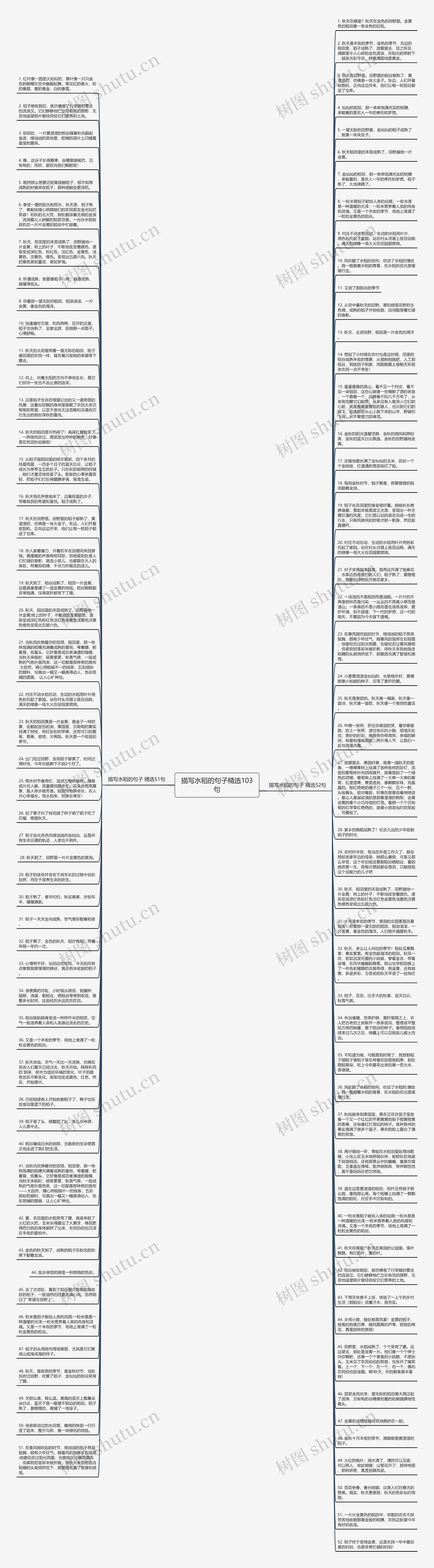 描写水稻的句子精选103句思维导图