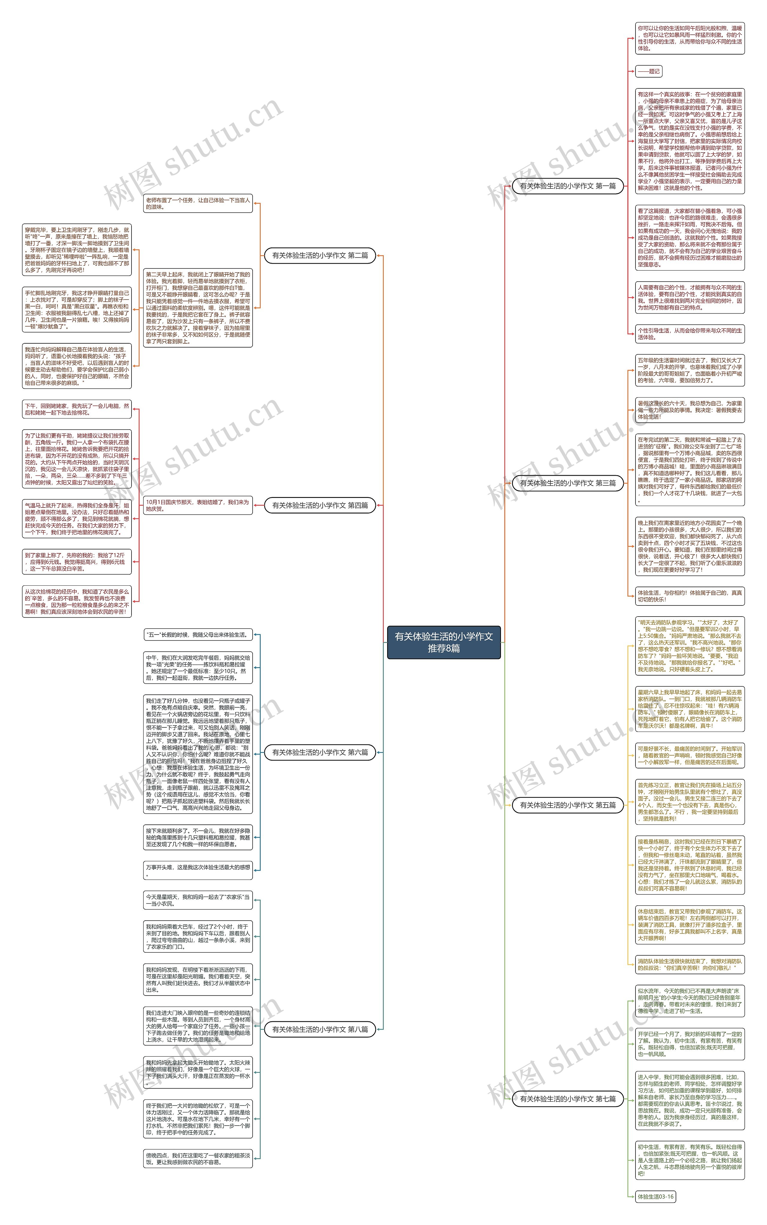 有关体验生活的小学作文推荐8篇思维导图