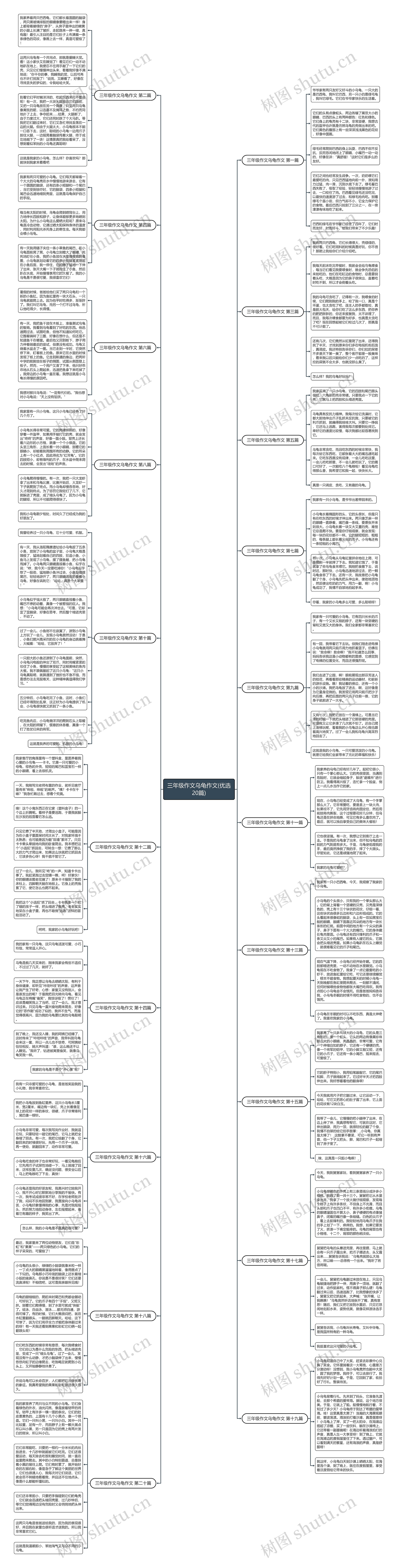 三年级作文乌龟作文(优选20篇) 三年级作文乌龟作文(优选20篇)