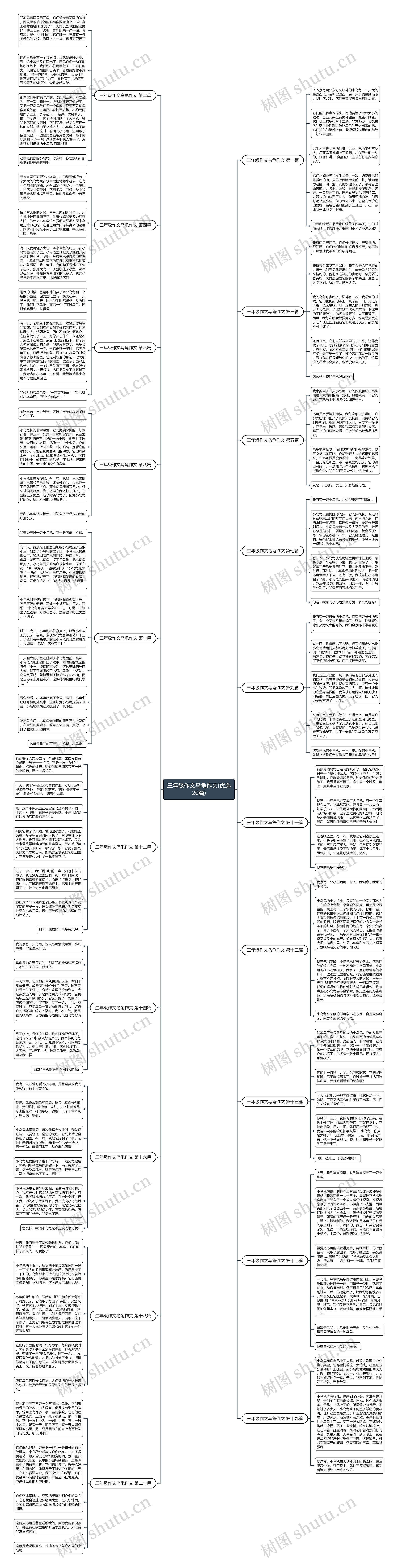 三年级作文乌龟作文(优选20篇)思维导图