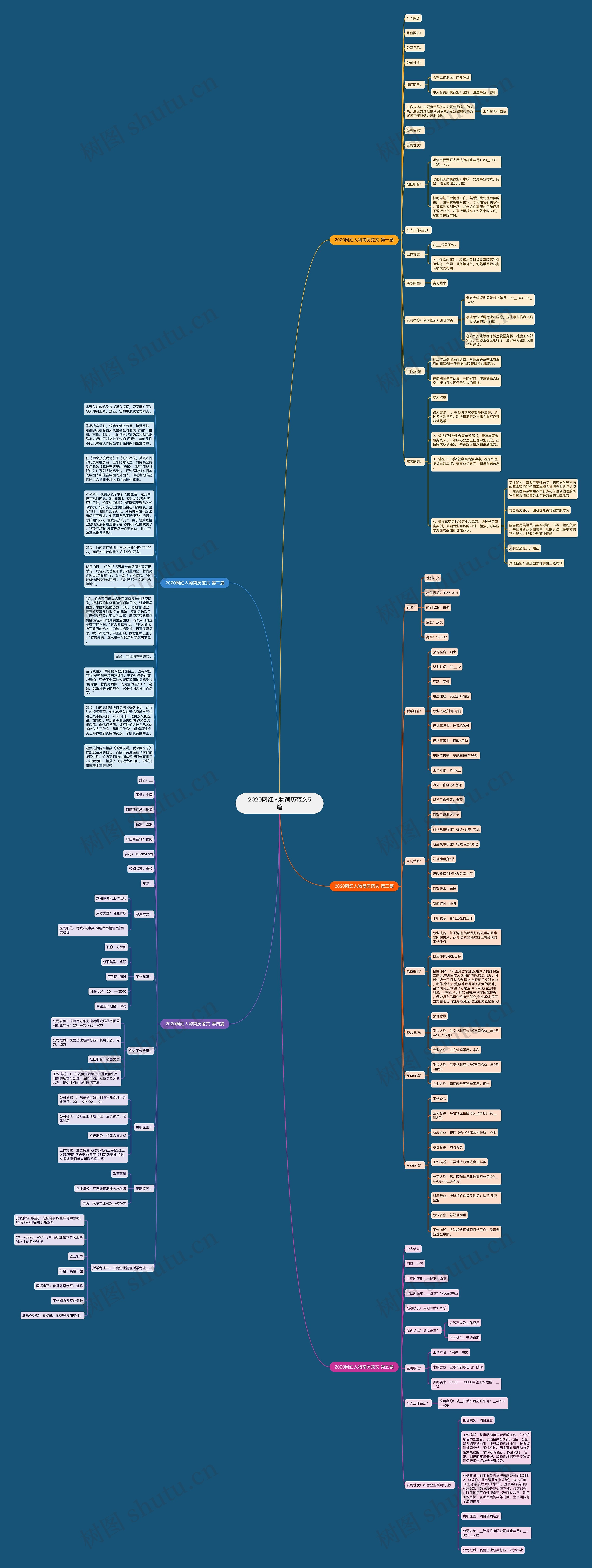 2020网红人物简历范文5篇思维导图