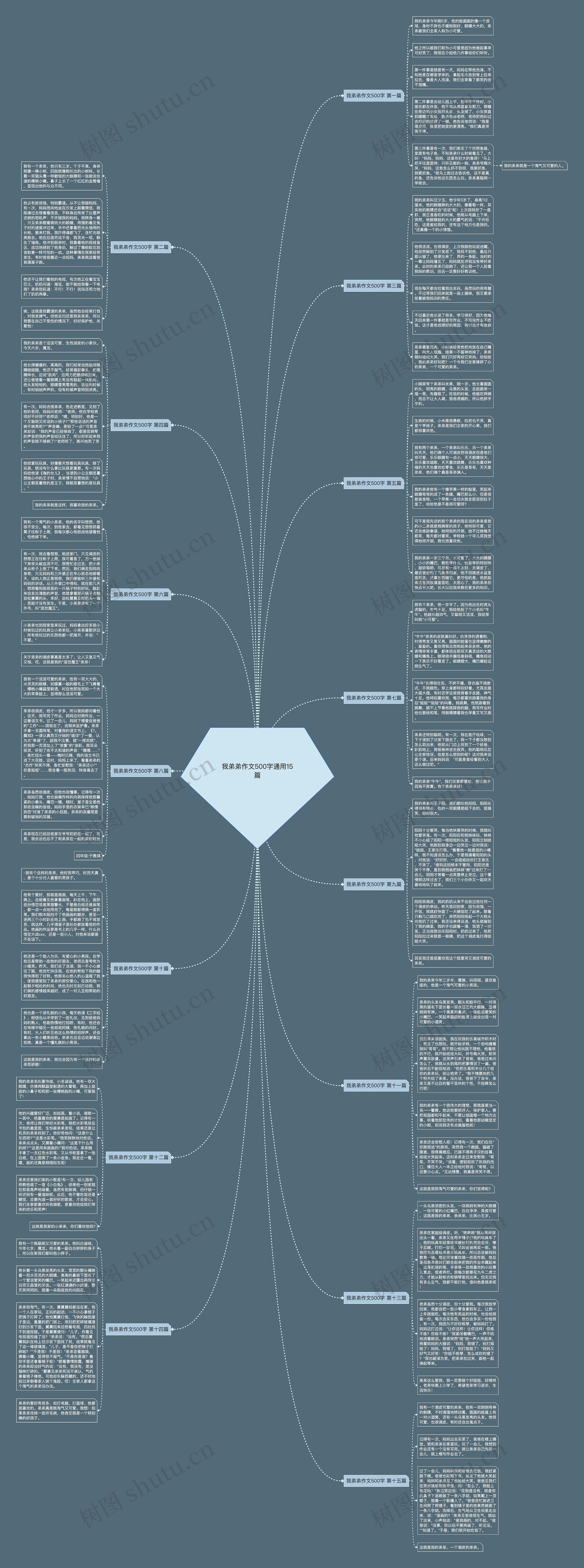 我弟弟作文500字通用15篇思维导图