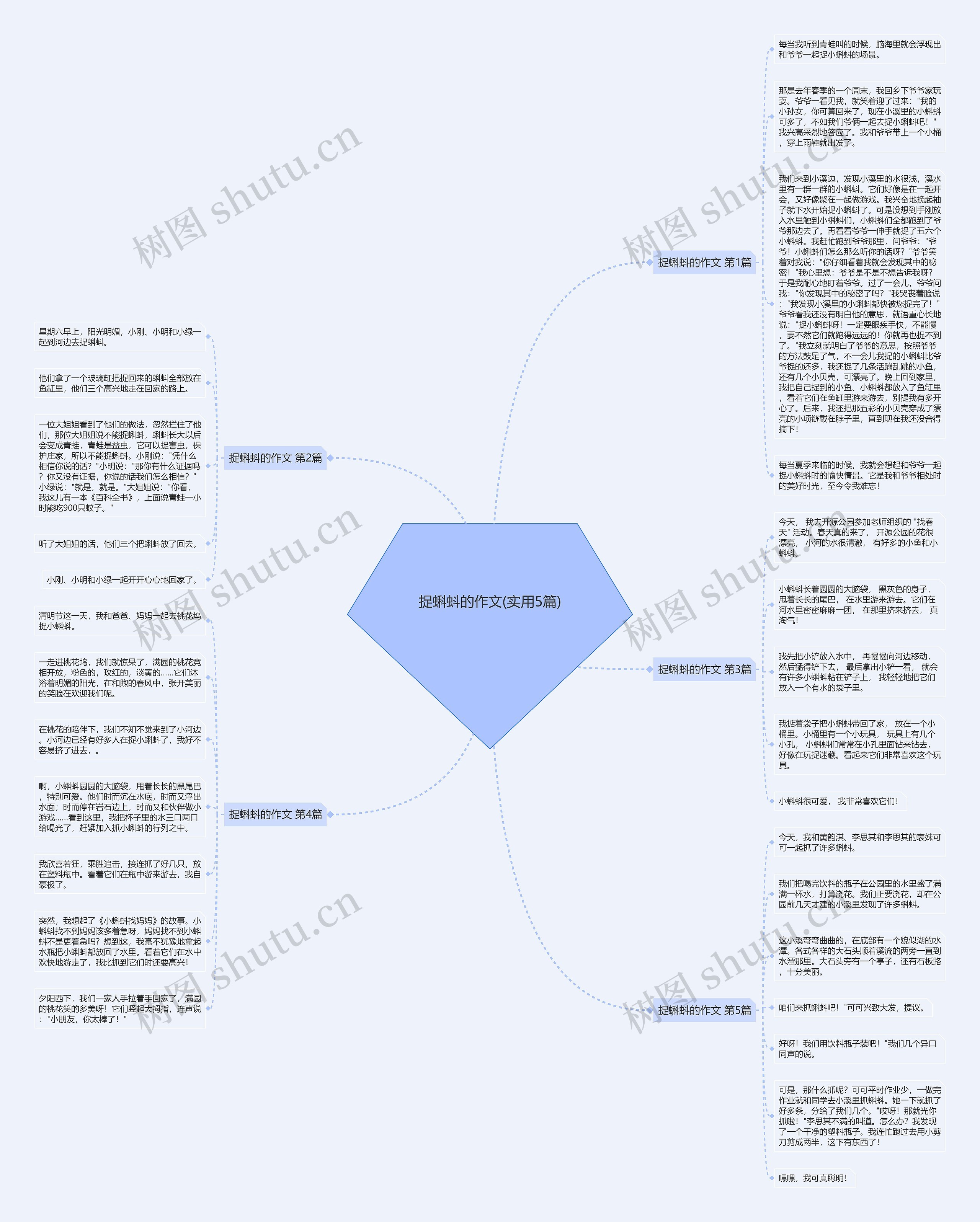 捉蝌蚪的作文(实用5篇)思维导图