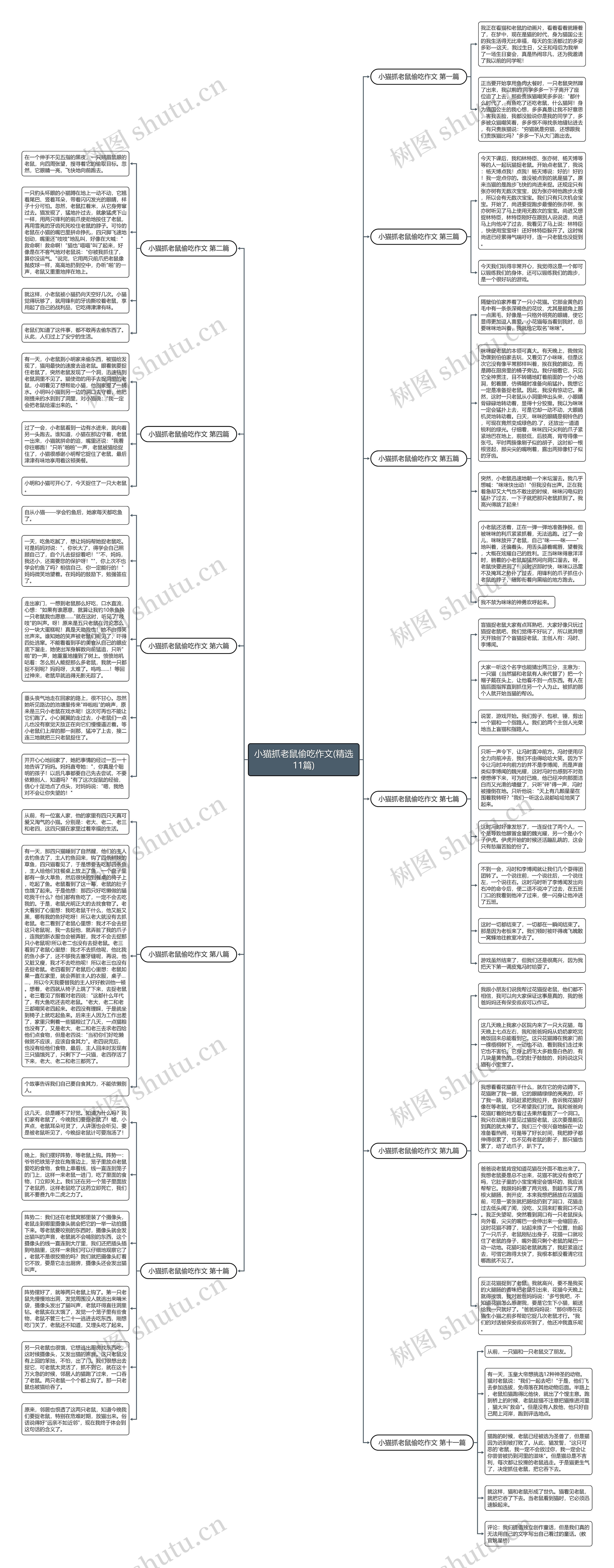 小猫抓老鼠偷吃作文(精选11篇)思维导图