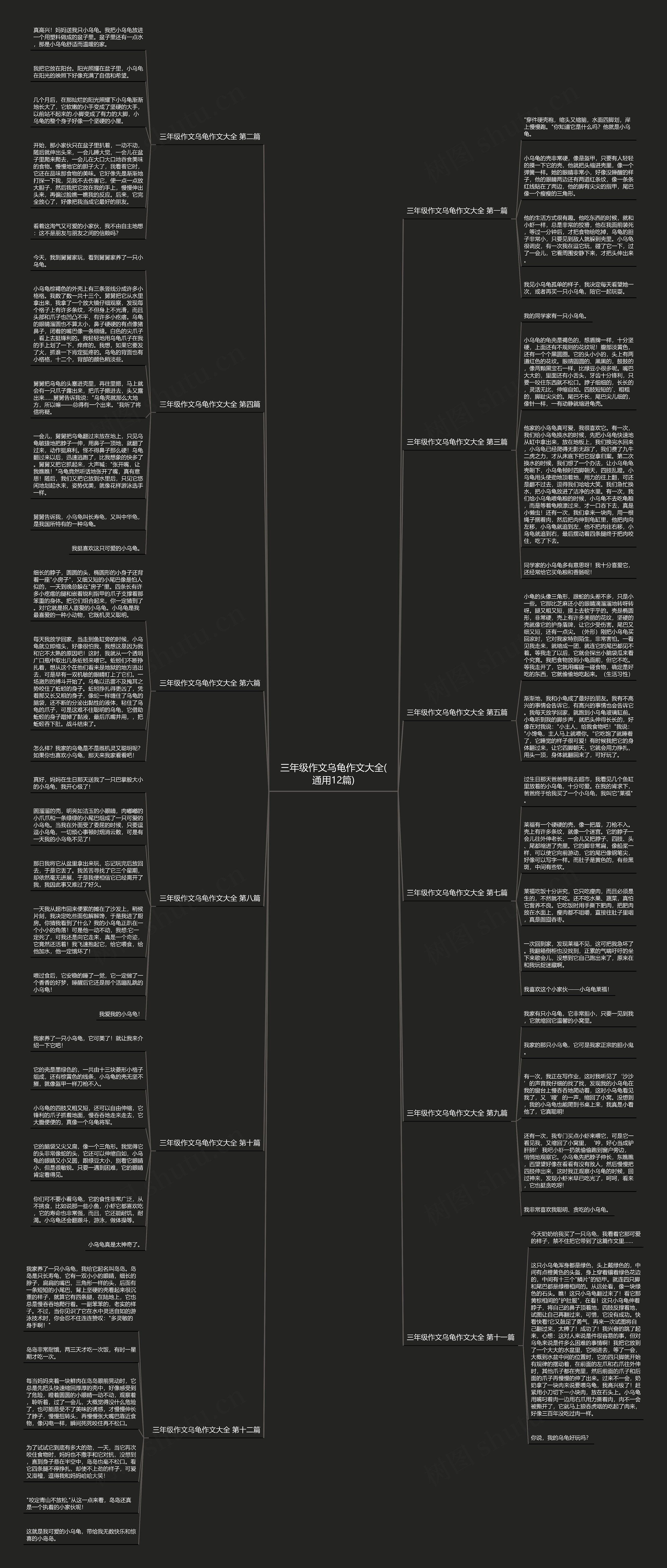 三年级作文乌龟作文大全(通用12篇)思维导图