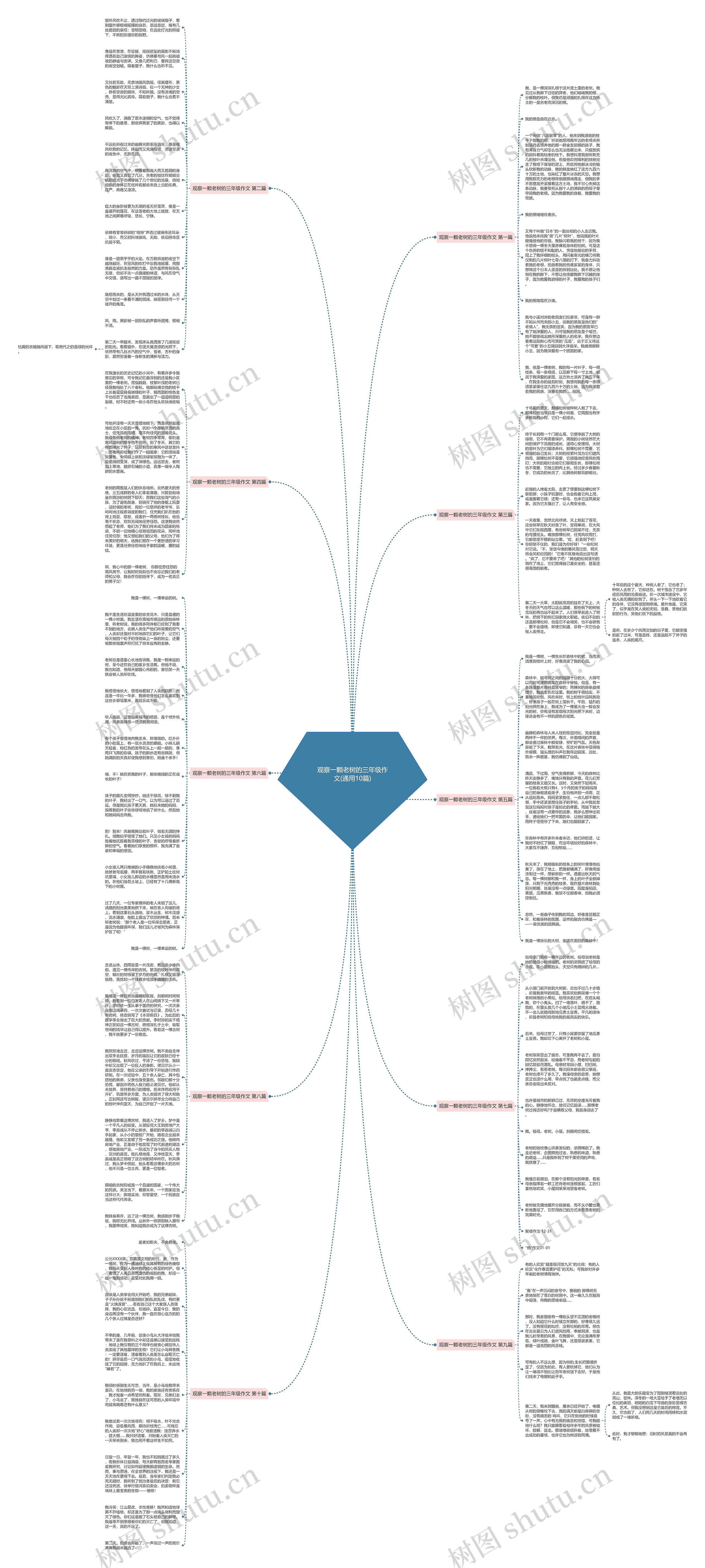 观察一颗老树的三年级作文(通用10篇)思维导图