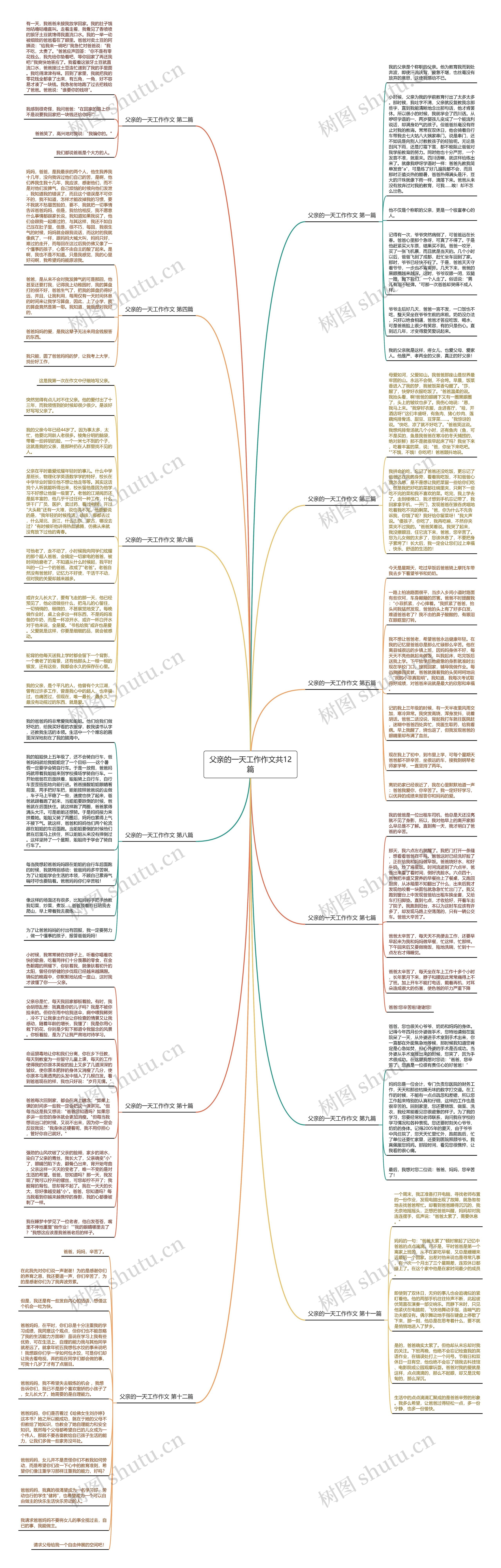 父亲的一天工作作文共12篇思维导图
