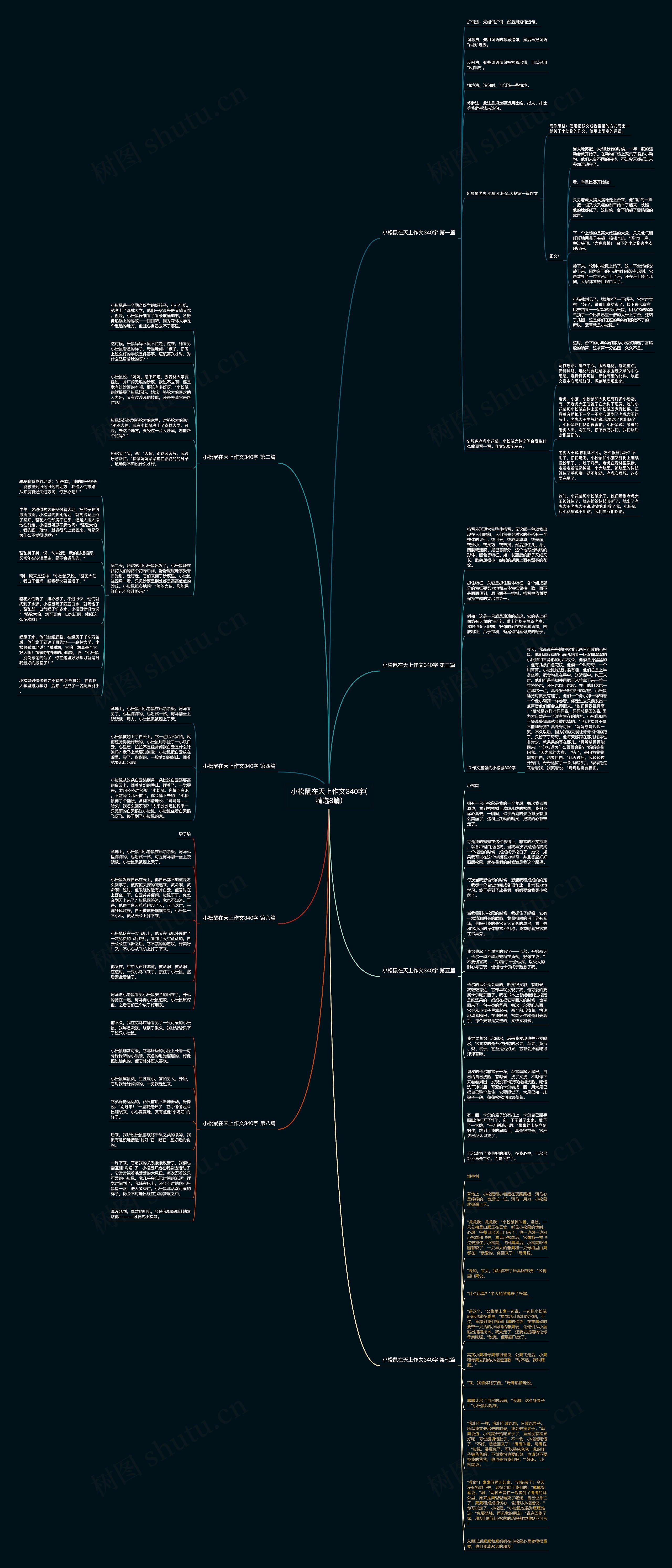 小松鼠在天上作文340字(精选8篇)思维导图