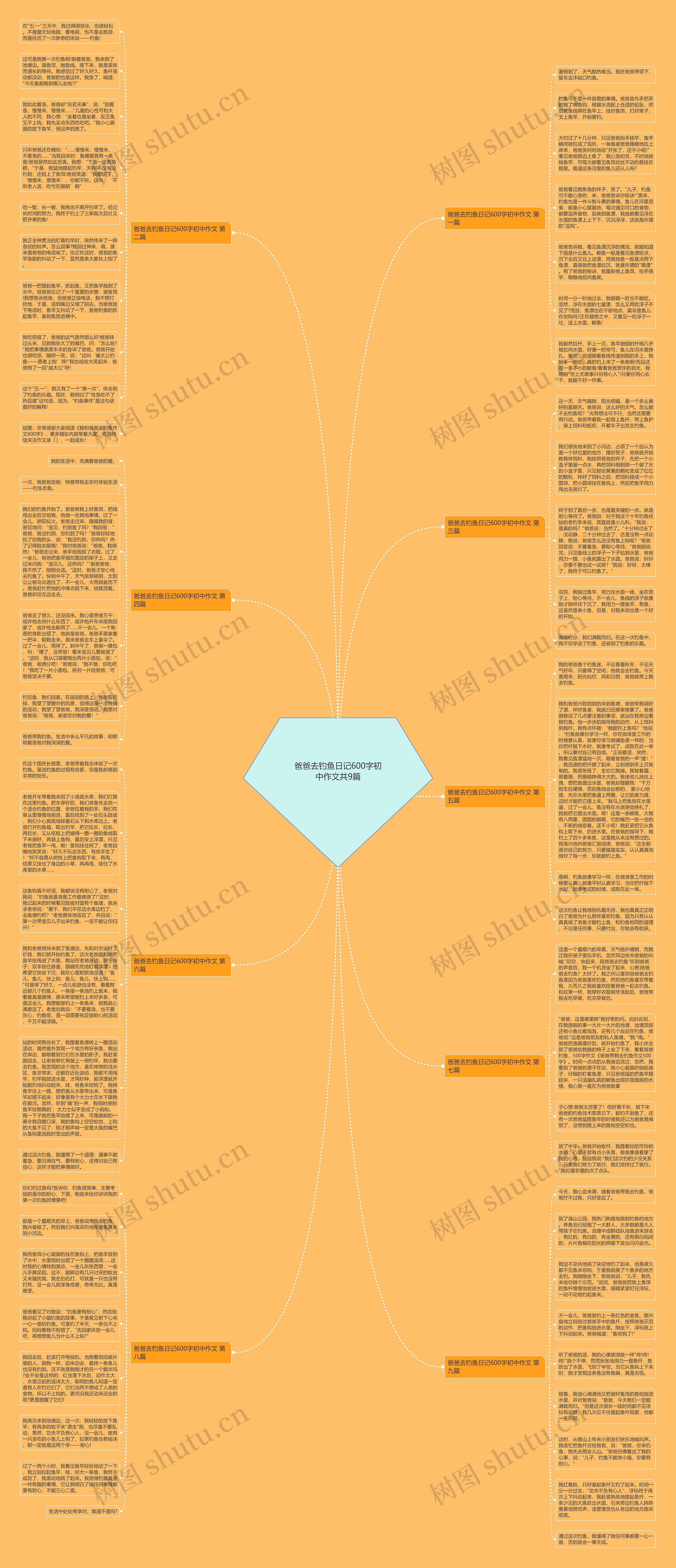 爸爸去钓鱼日记600字初中作文共9篇思维导图