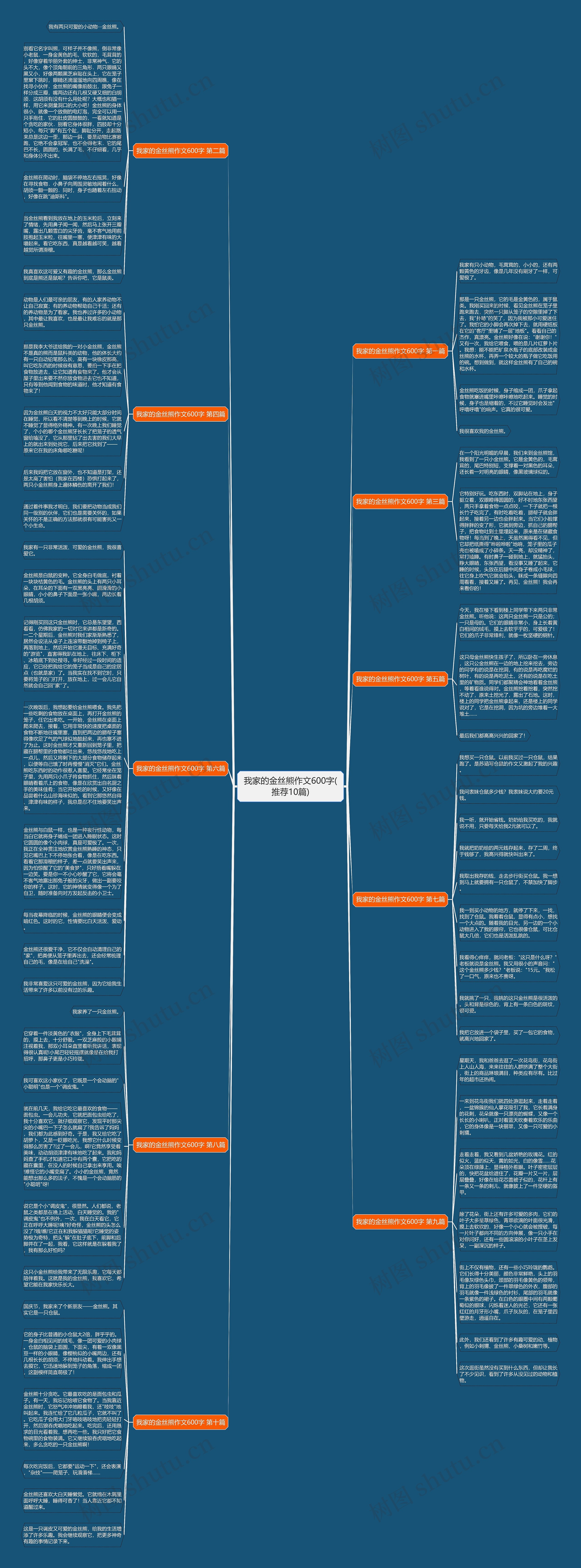 我家的金丝熊作文600字(推荐10篇)思维导图