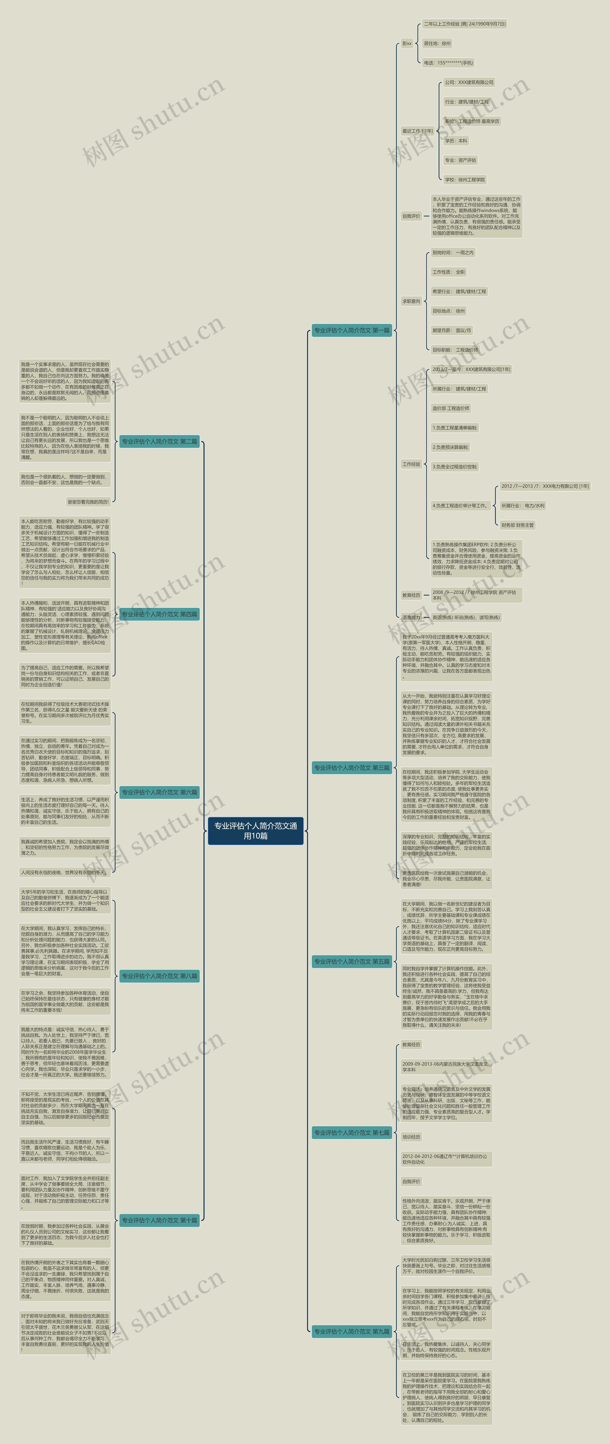 专业评估个人简介范文通用10篇思维导图