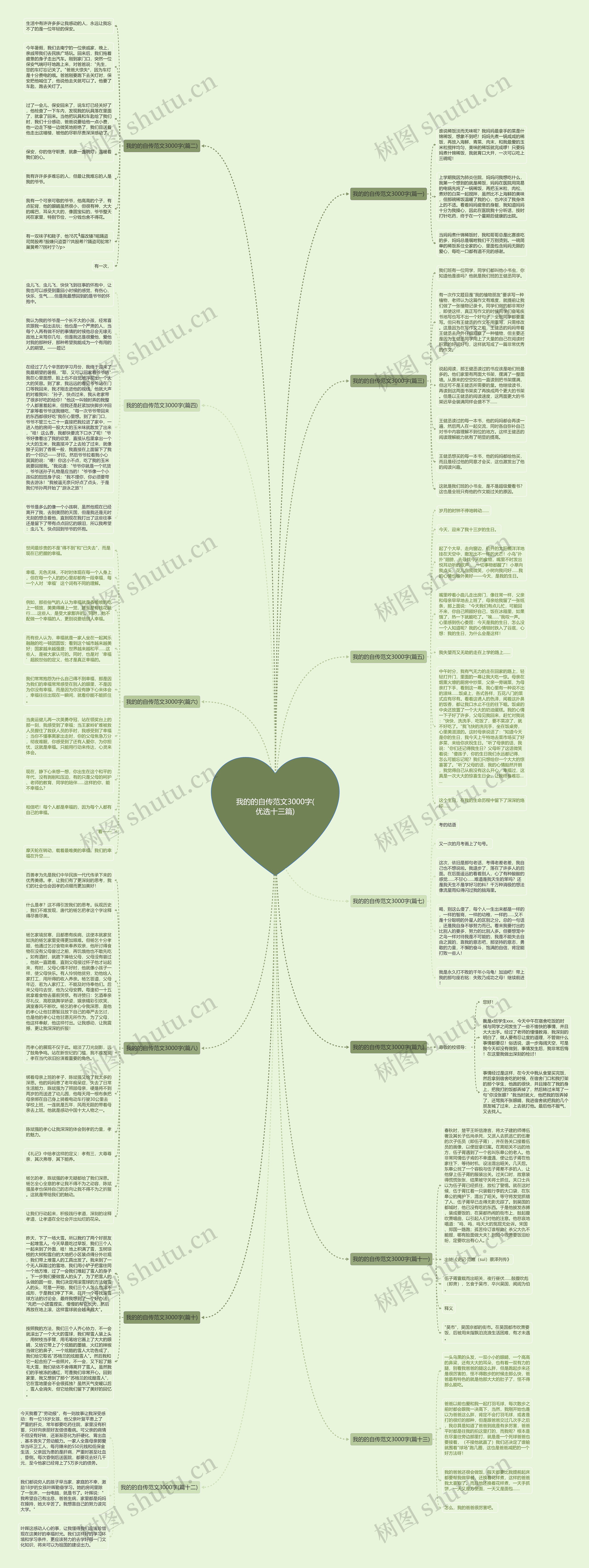 我的的自传范文3000字(优选十三篇)思维导图