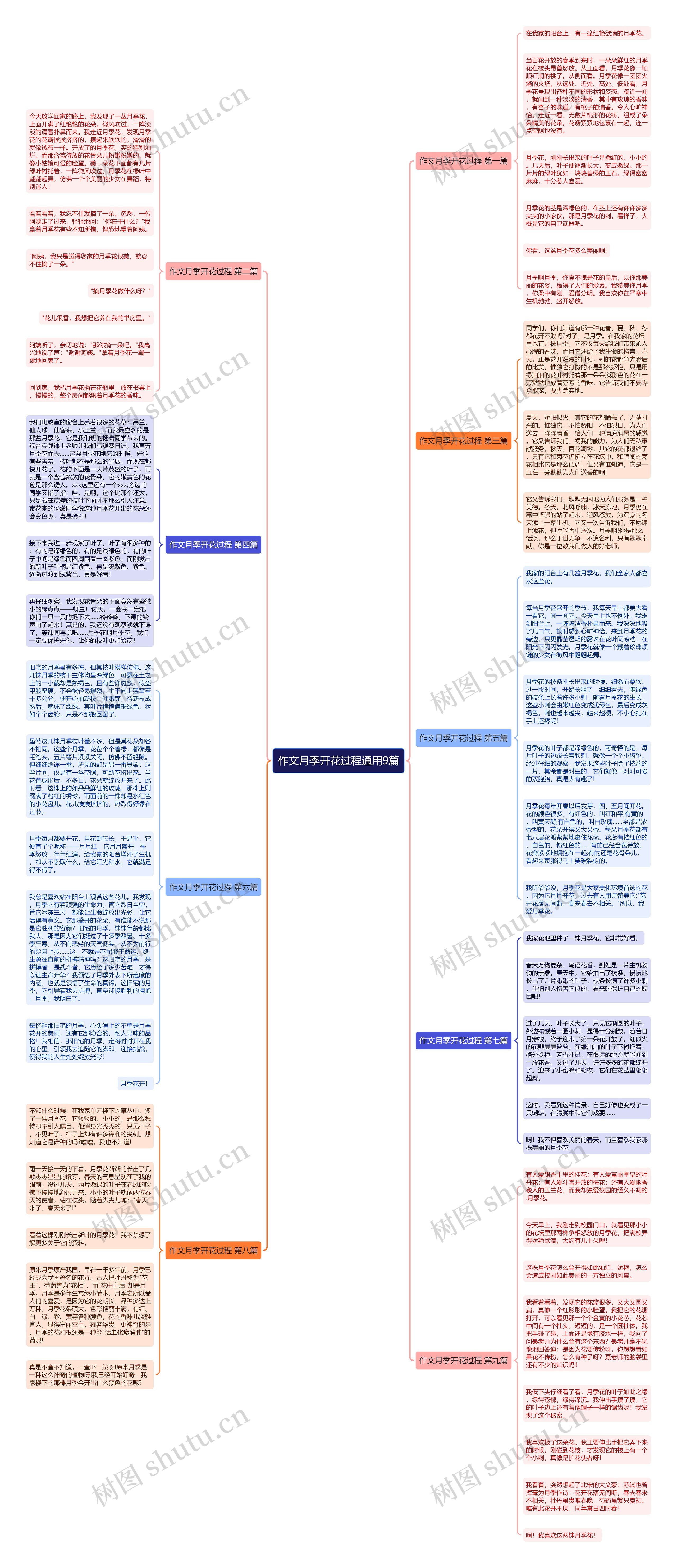 作文月季开花过程通用9篇 作文月季开花过程通用9篇