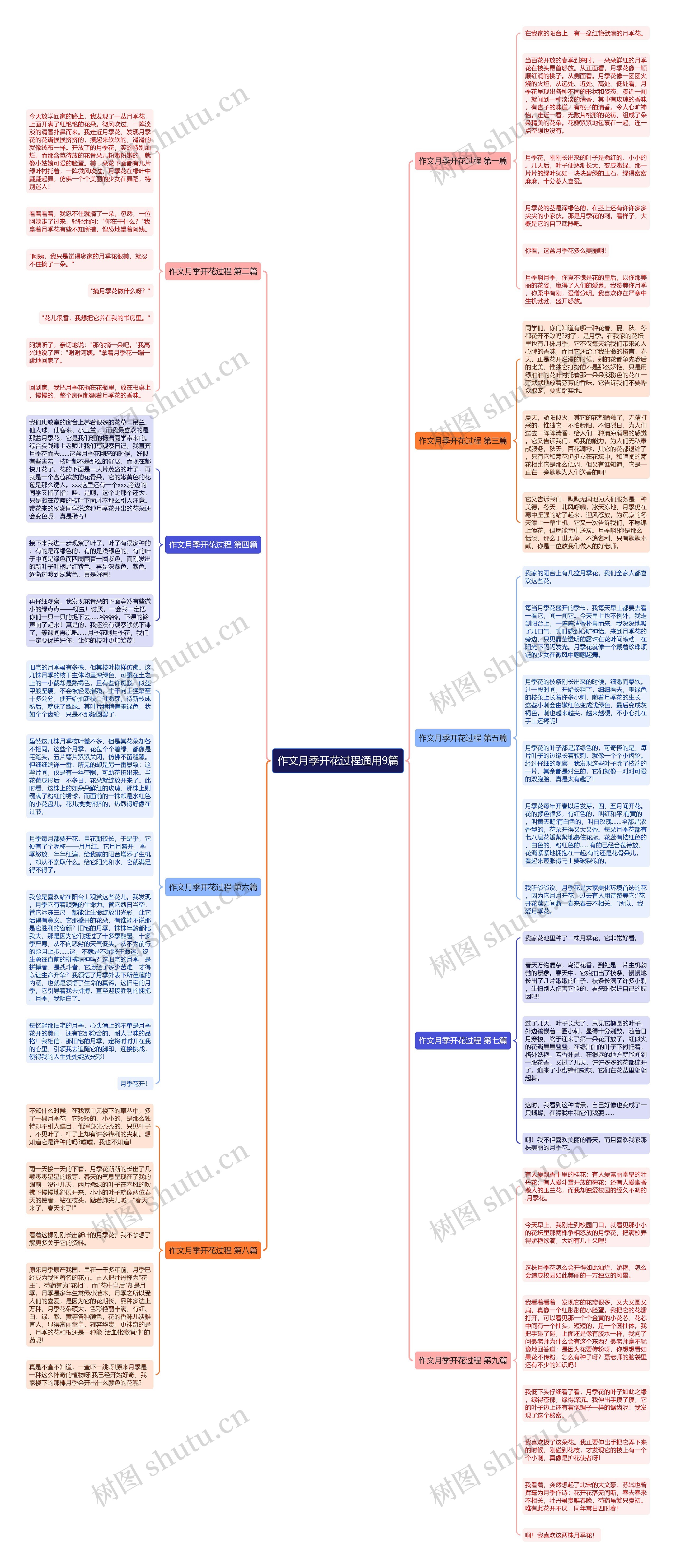 作文月季开花过程通用9篇思维导图
