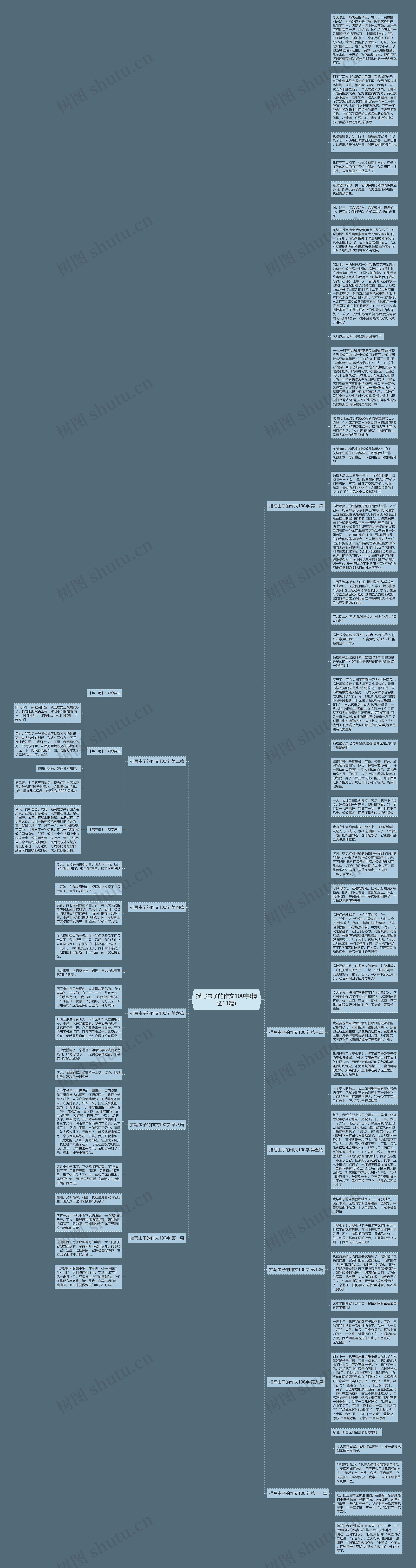 描写虫子的作文100字(精选11篇)思维导图