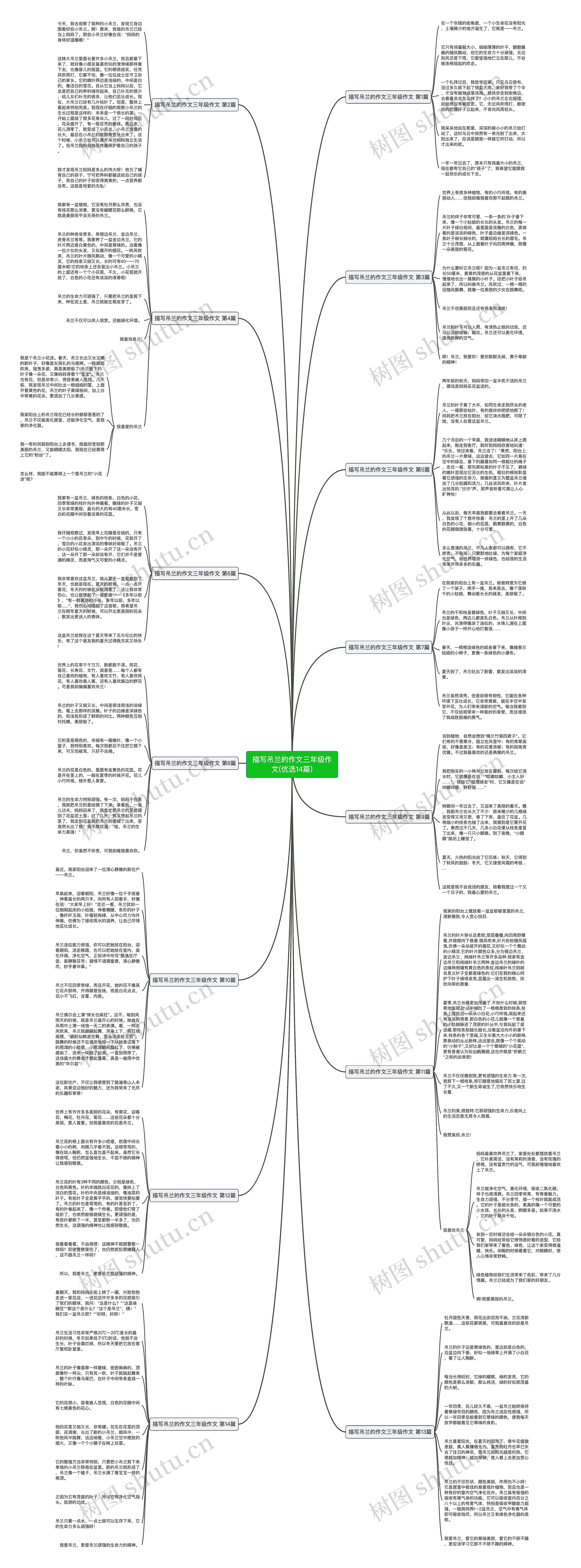 描写吊兰的作文三年级作文(优选14篇)思维导图