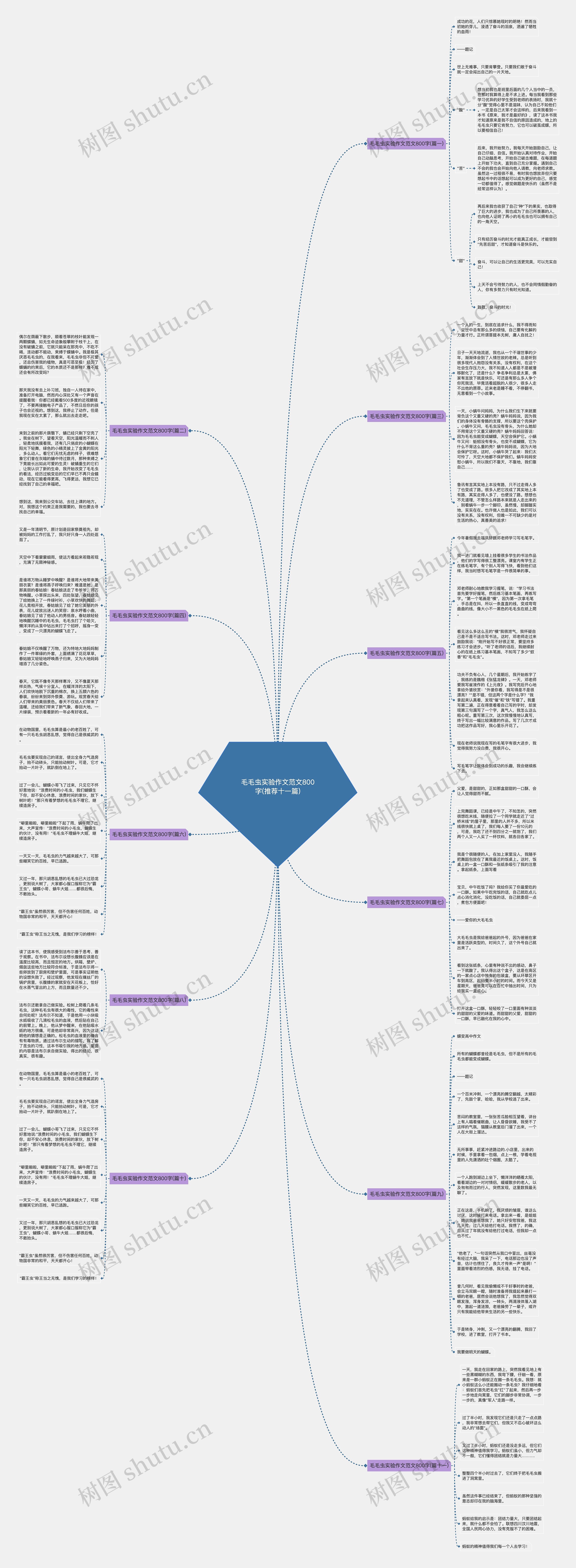 毛毛虫实验作文范文800字(推荐十一篇) 毛毛虫实验作文范文800字(推荐十一篇)