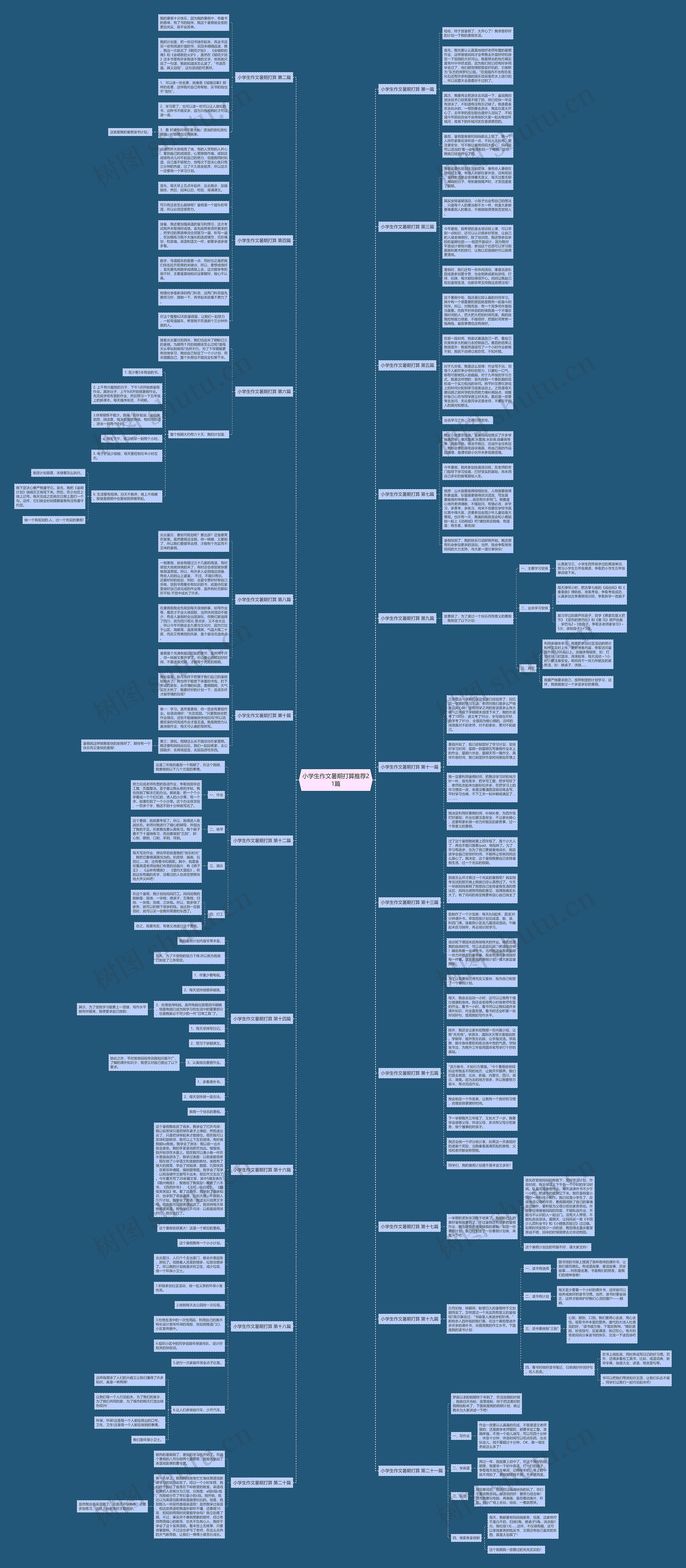 小学生作文暑期打算推荐21篇思维导图