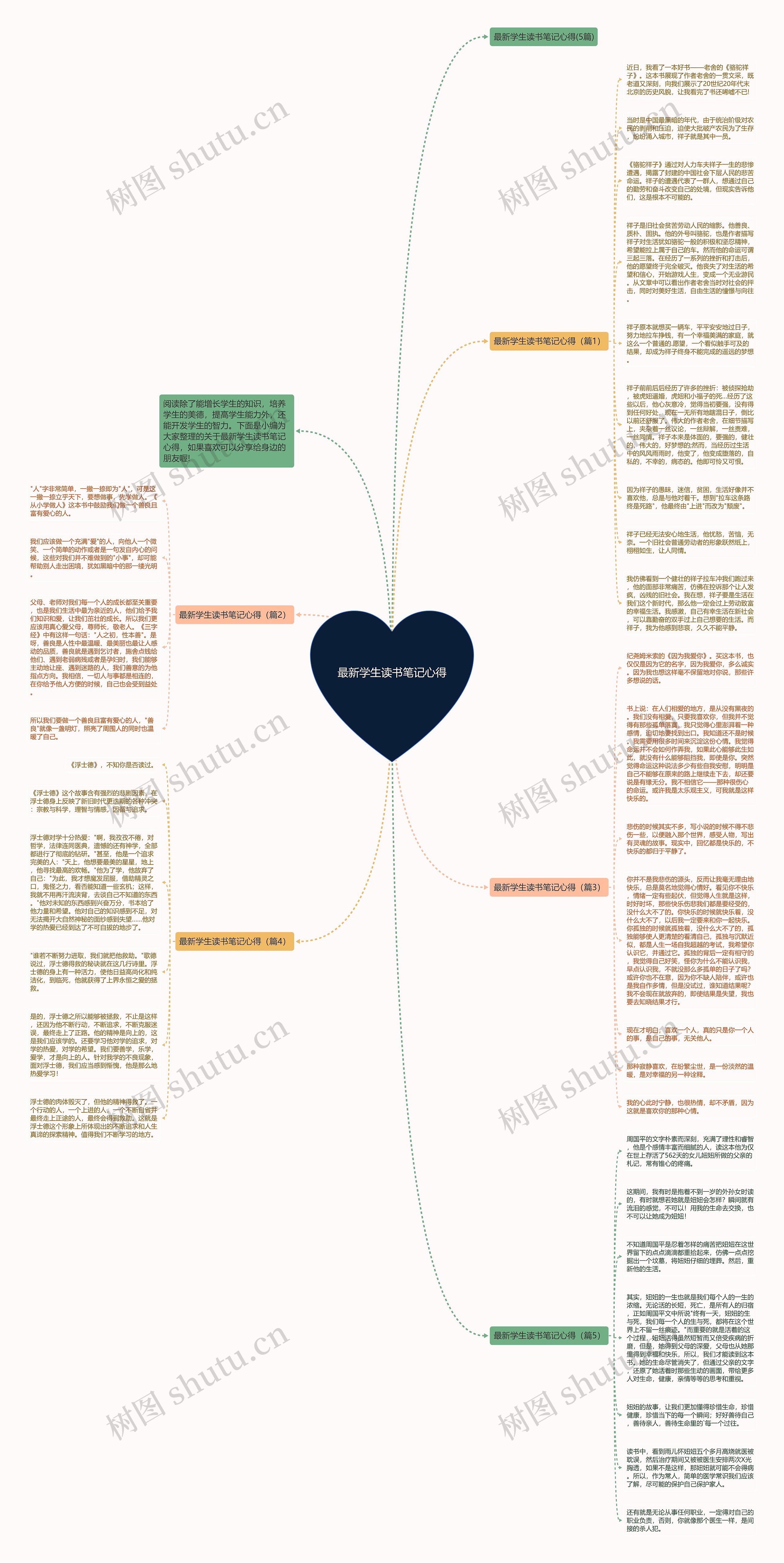最新学生读书笔记心得思维导图