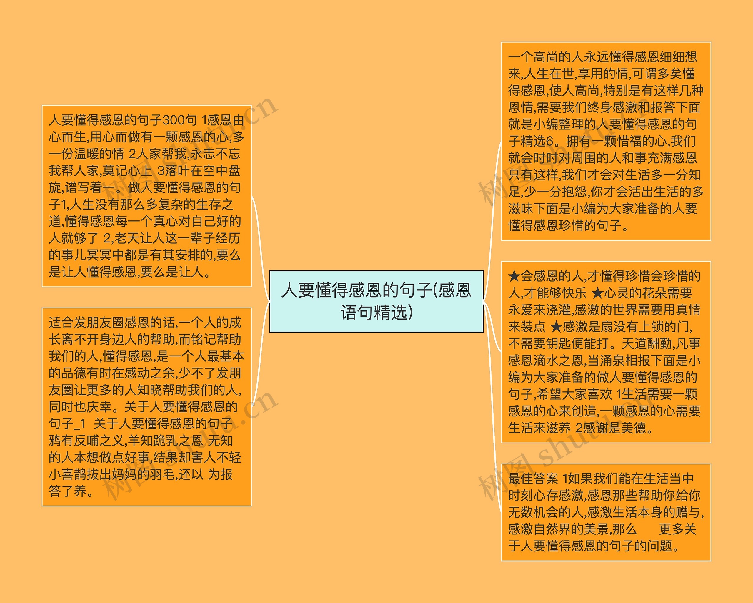 人要懂得感恩的句子(感恩语句精选)