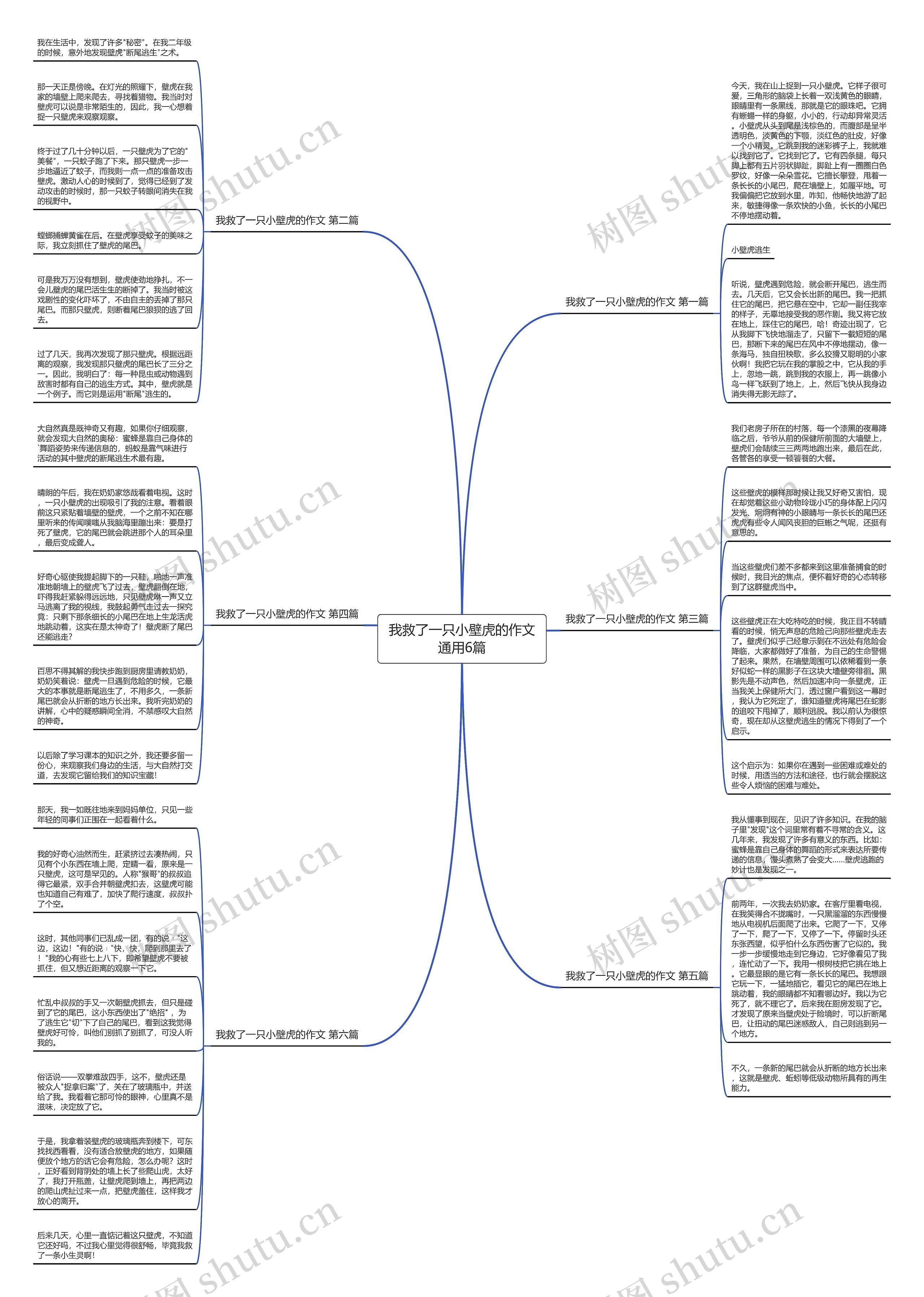 我救了一只小壁虎的作文通用6篇思维导图