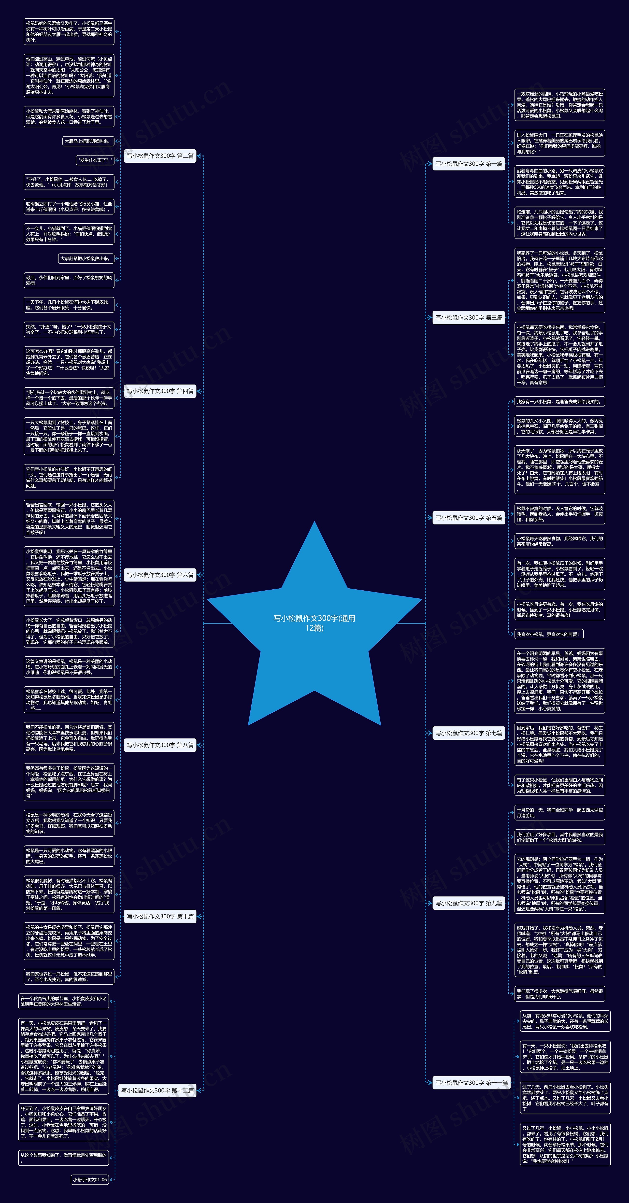 写小松鼠作文300字(通用12篇)思维导图