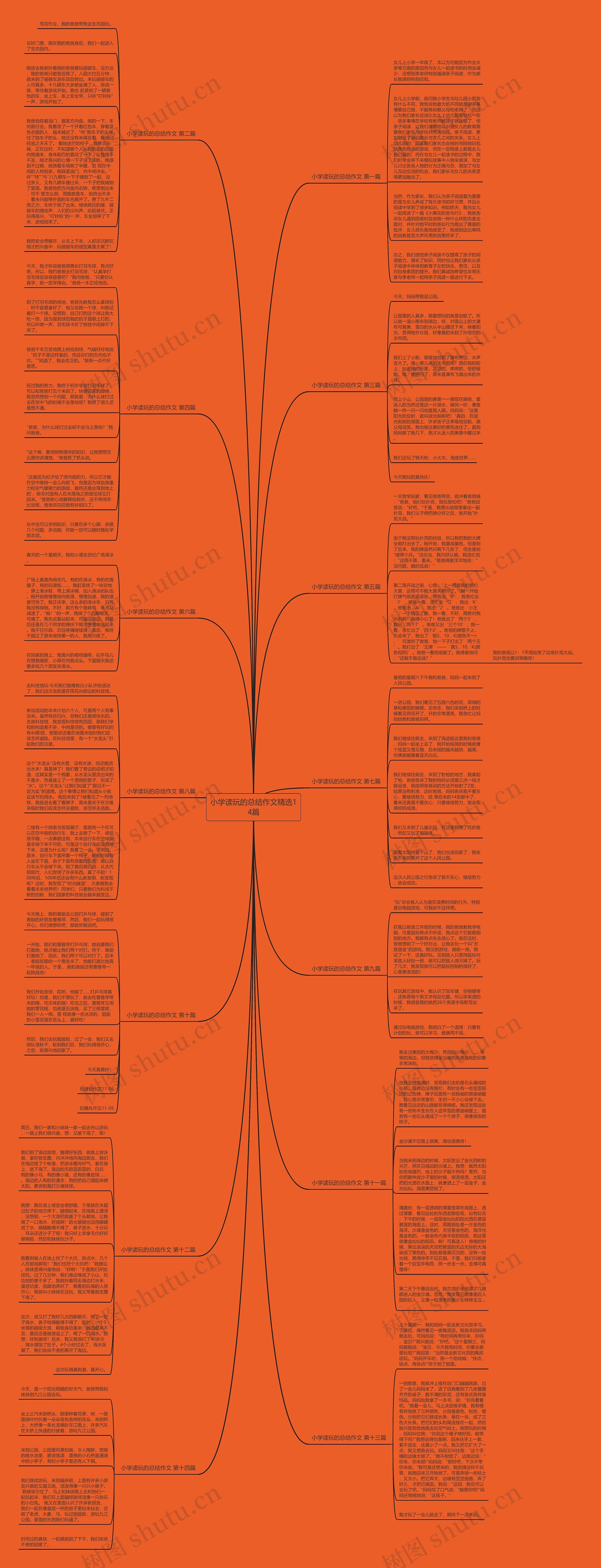 小学读玩的总结作文精选14篇思维导图