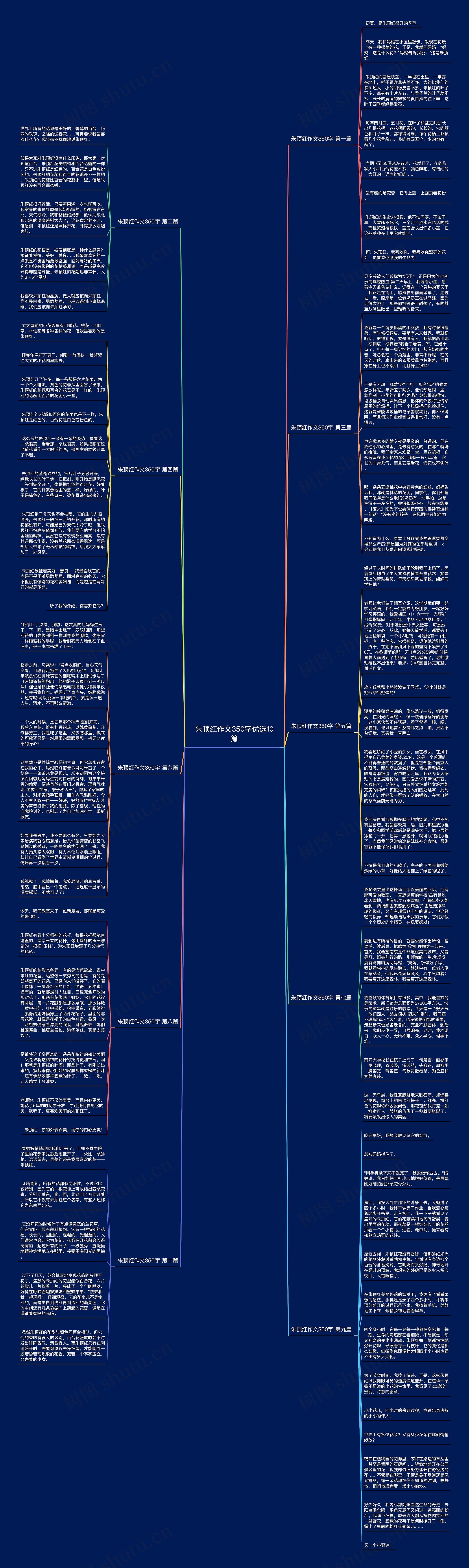 朱顶红作文350字优选10篇思维导图