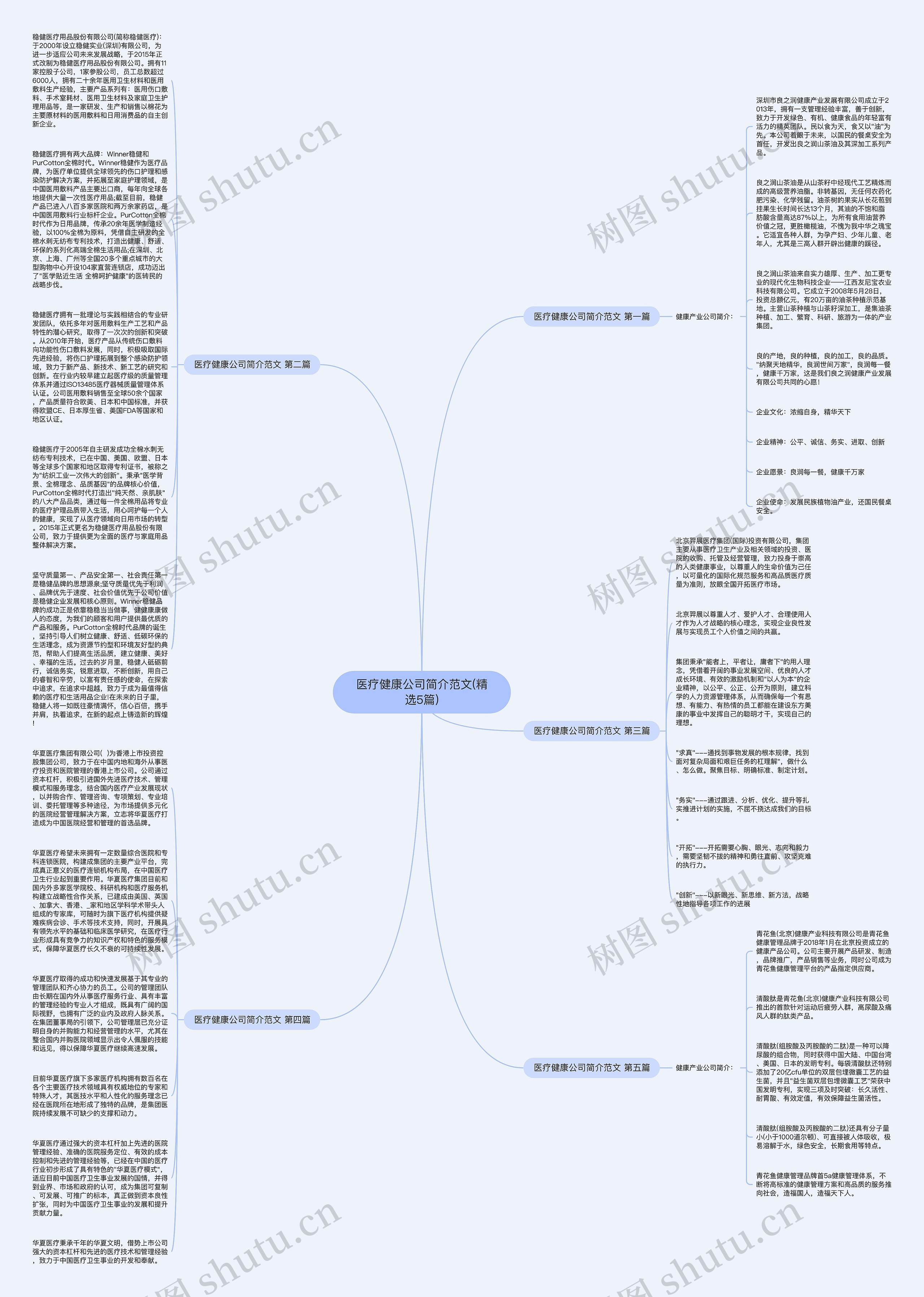 医疗健康公司简介范文(精选5篇)思维导图