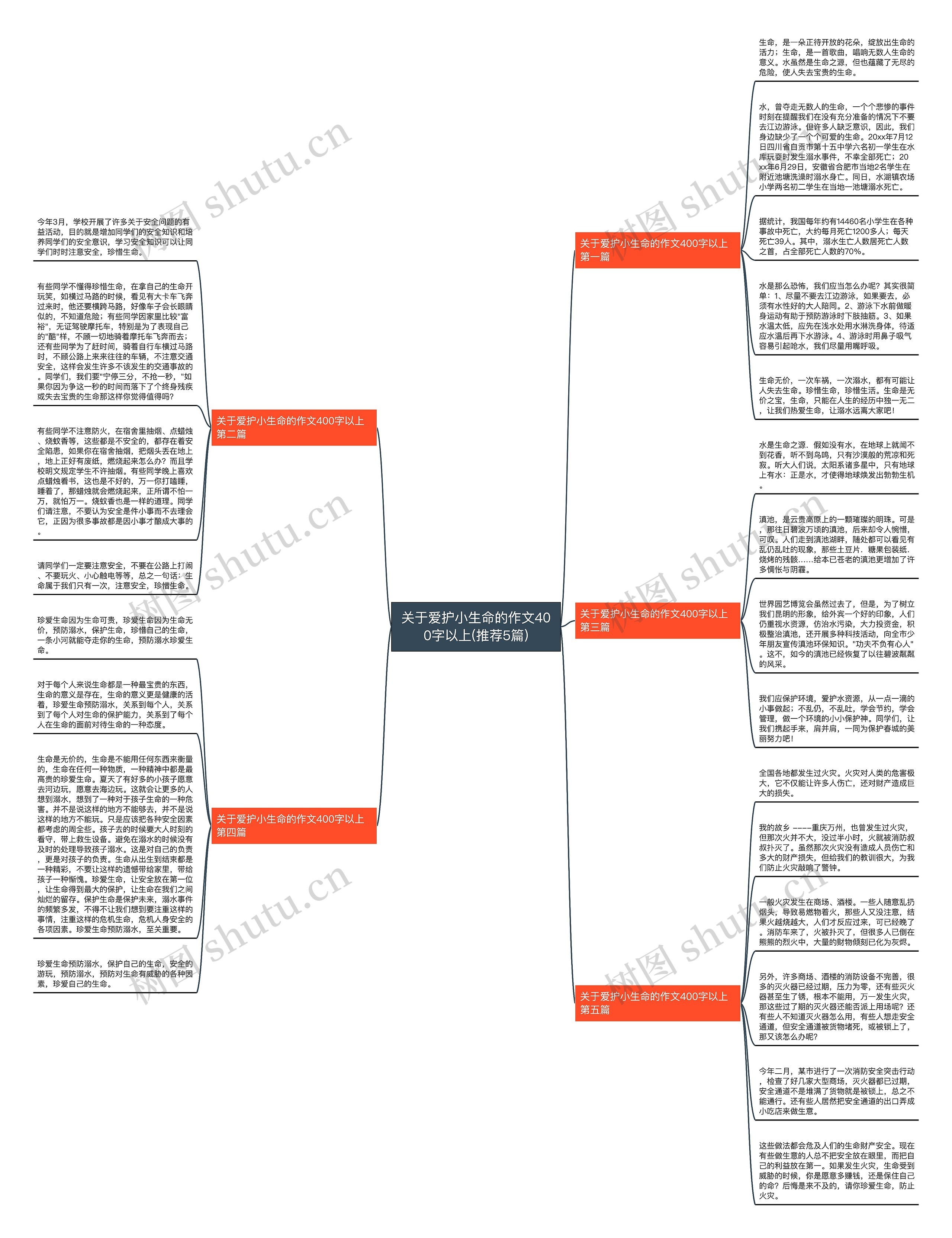 关于爱护小生命的作文400字以上(推荐5篇)思维导图