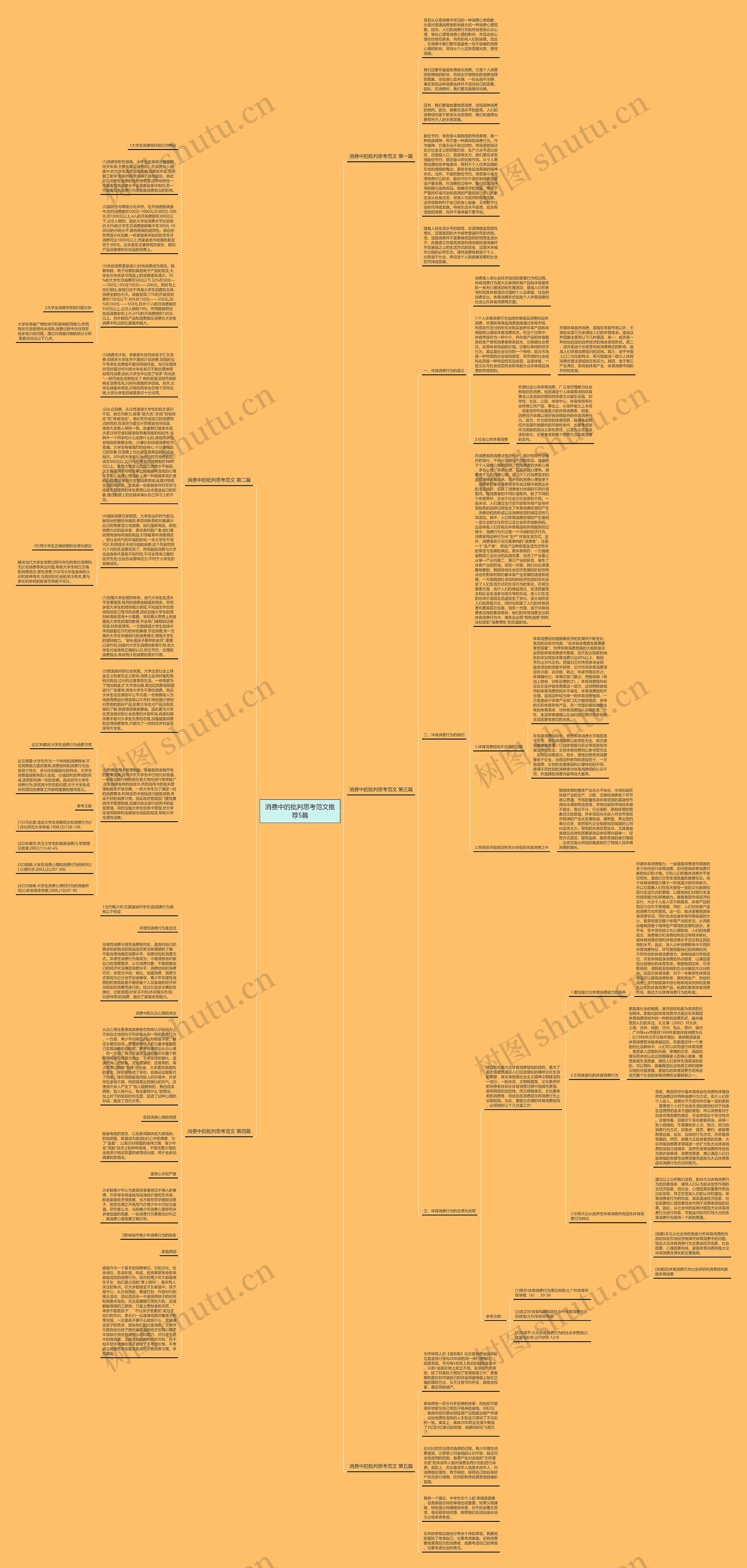 消费中的批判思考范文推荐5篇思维导图