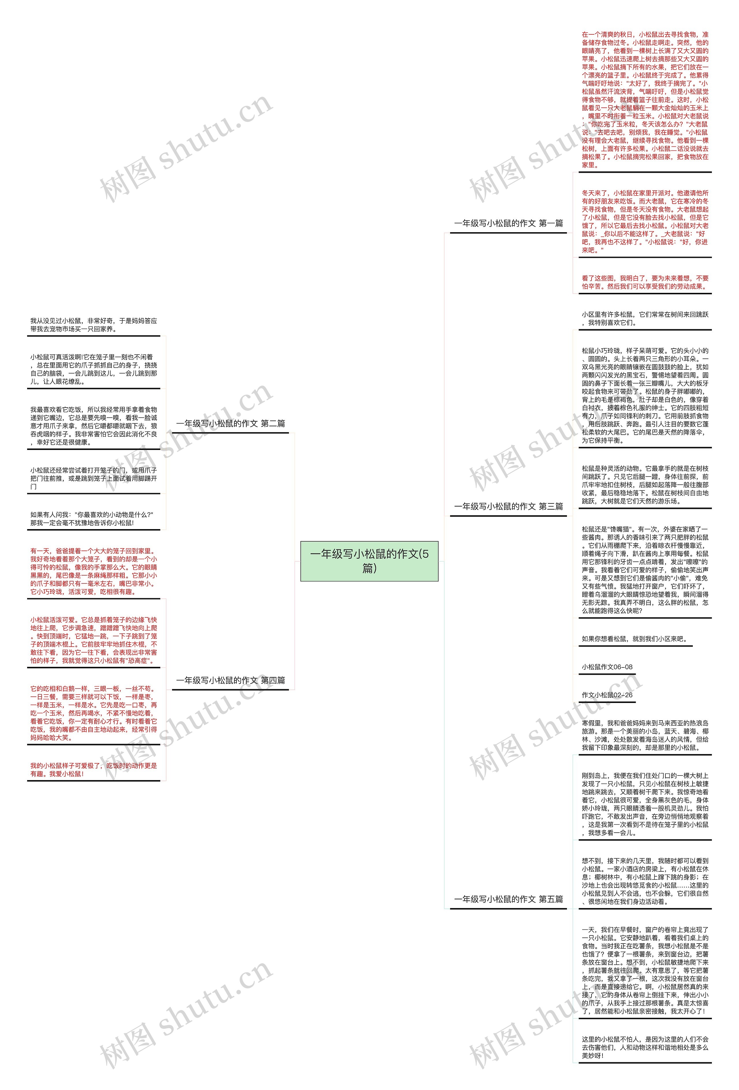 一年级写小松鼠的作文(5篇)思维导图
