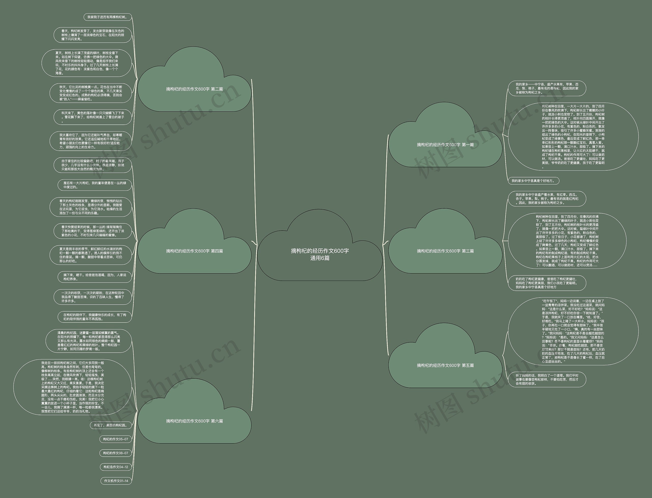 摘枸杞的经历作文600字通用6篇思维导图