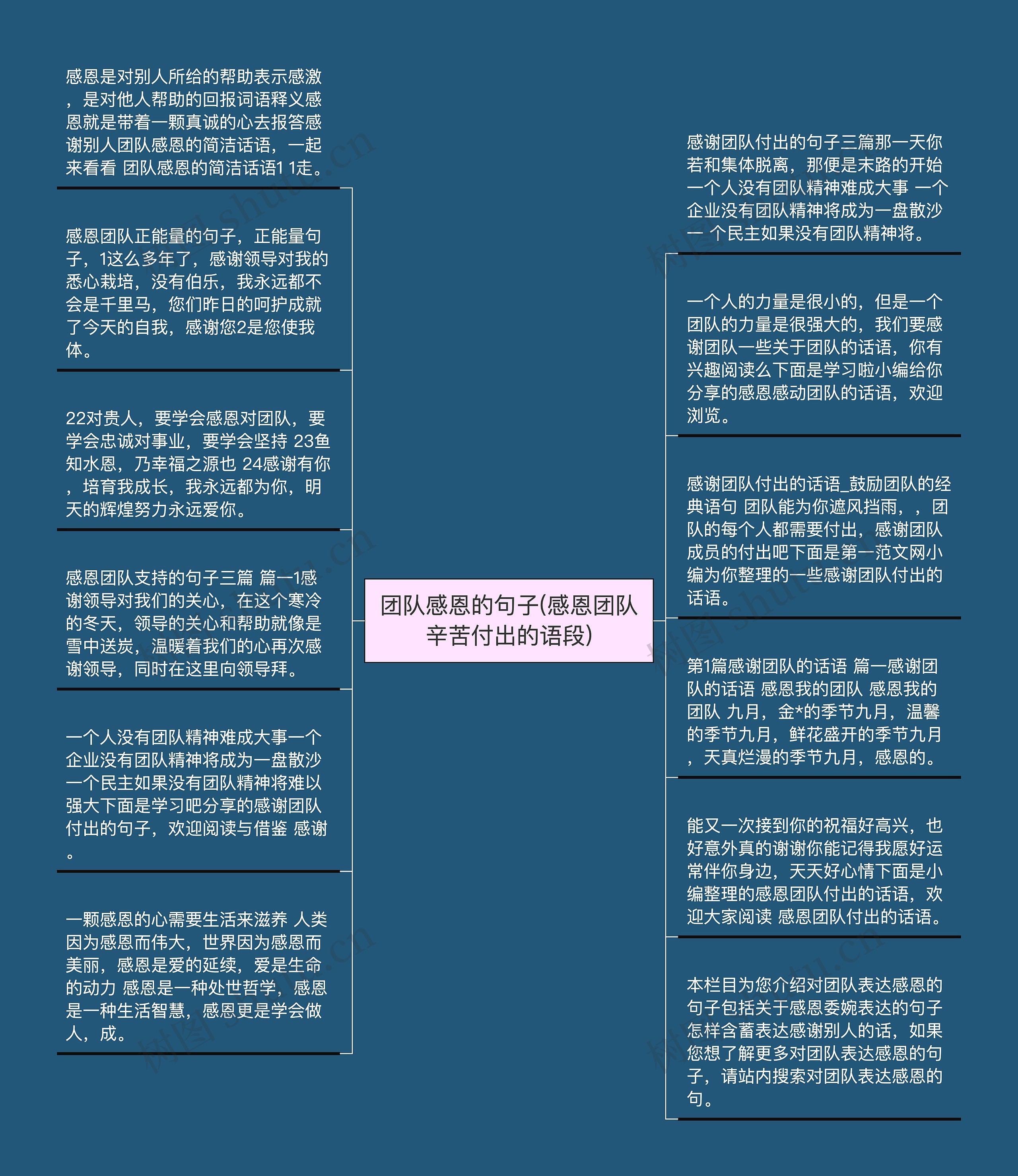 团队感恩的句子(感恩团队辛苦付出的语段)