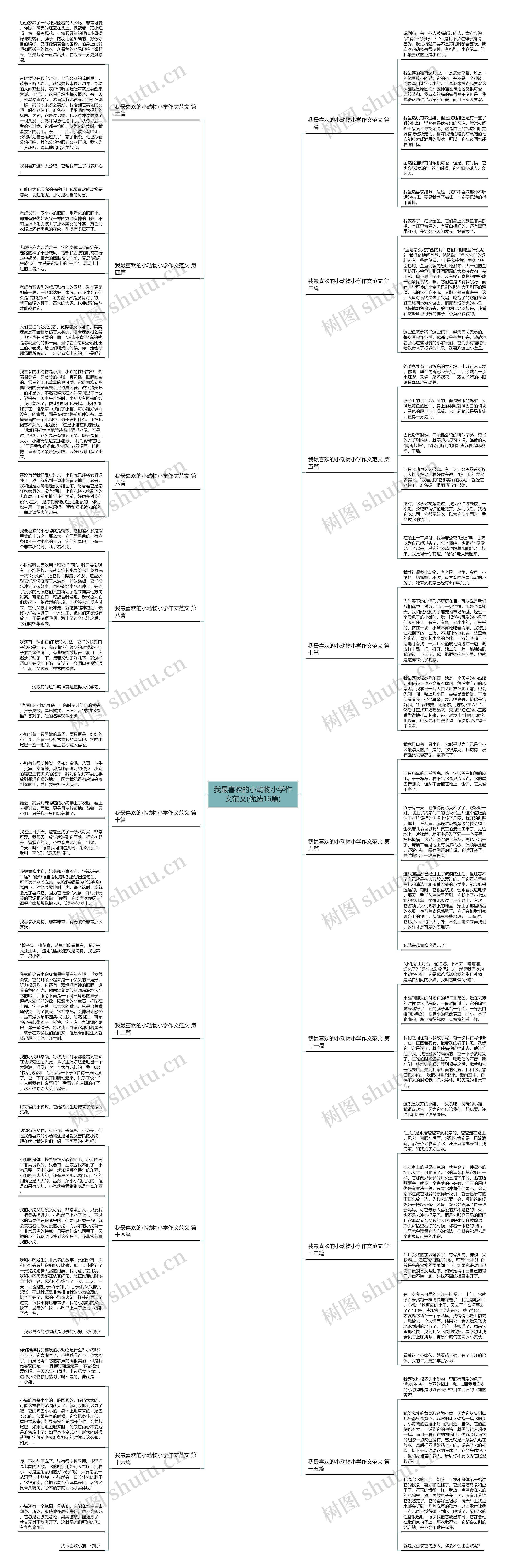 我最喜欢的小动物小学作文范文(优选16篇)