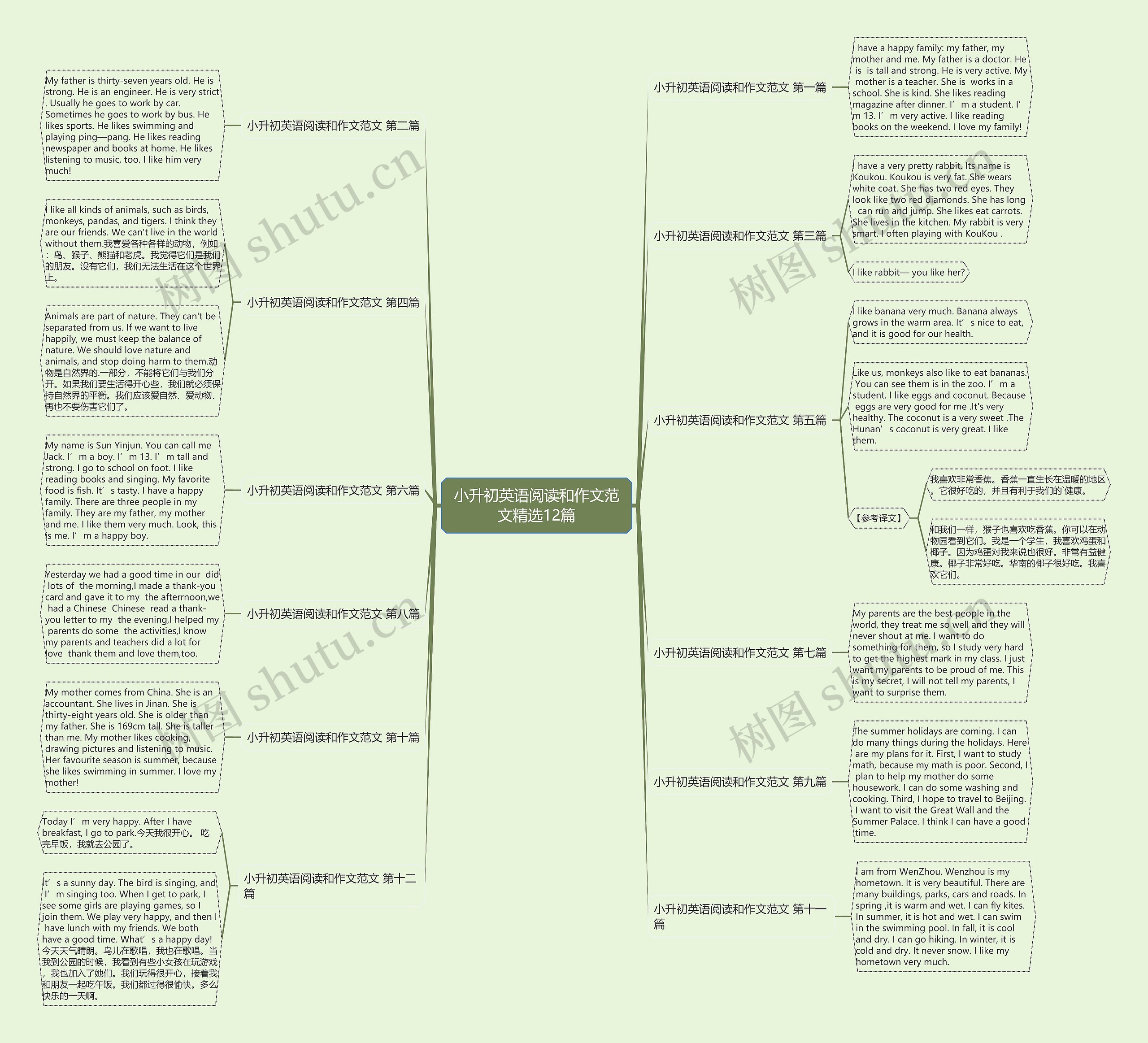 小升初英语阅读和作文范文精选12篇思维导图