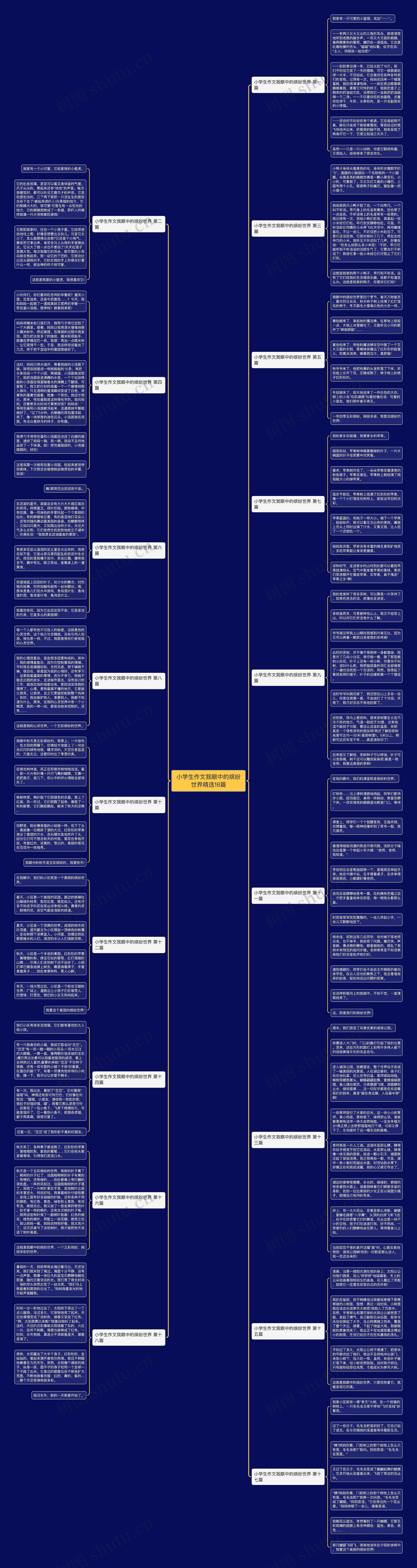 小学生作文我眼中的缤纷世界精选18篇思维导图