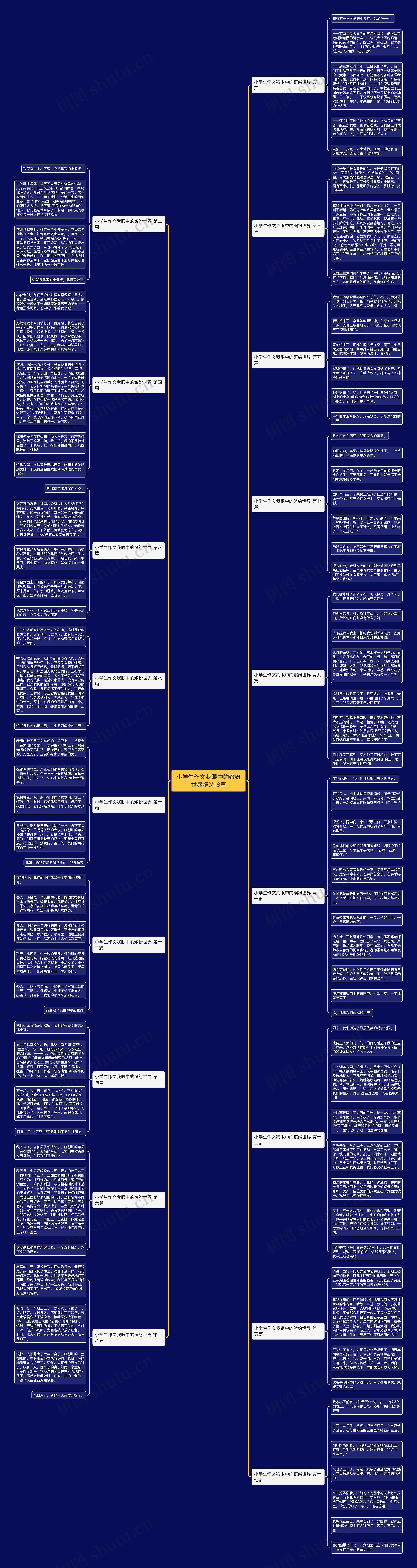 小学生作文我眼中的缤纷世界精选18篇 小学生作文我眼中的缤纷世界精选18篇