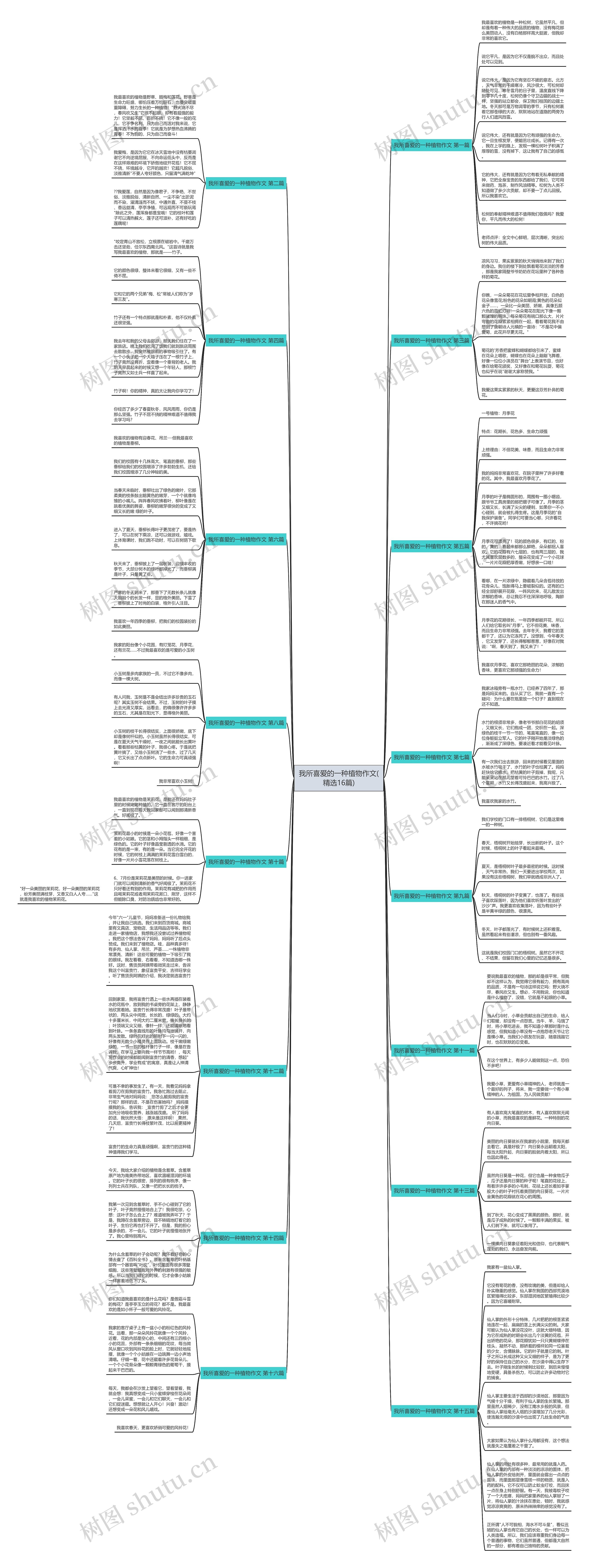 我所喜爱的一种植物作文(精选16篇)思维导图