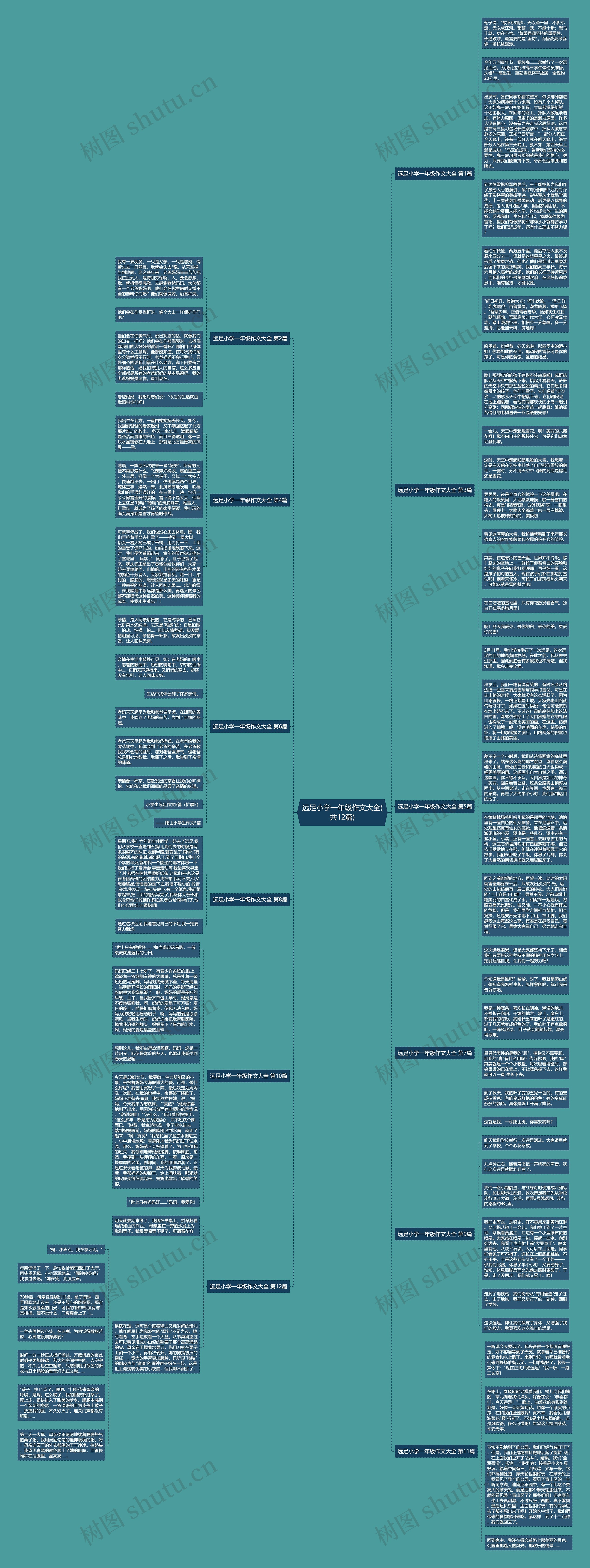 远足小学一年级作文大全(共12篇)思维导图